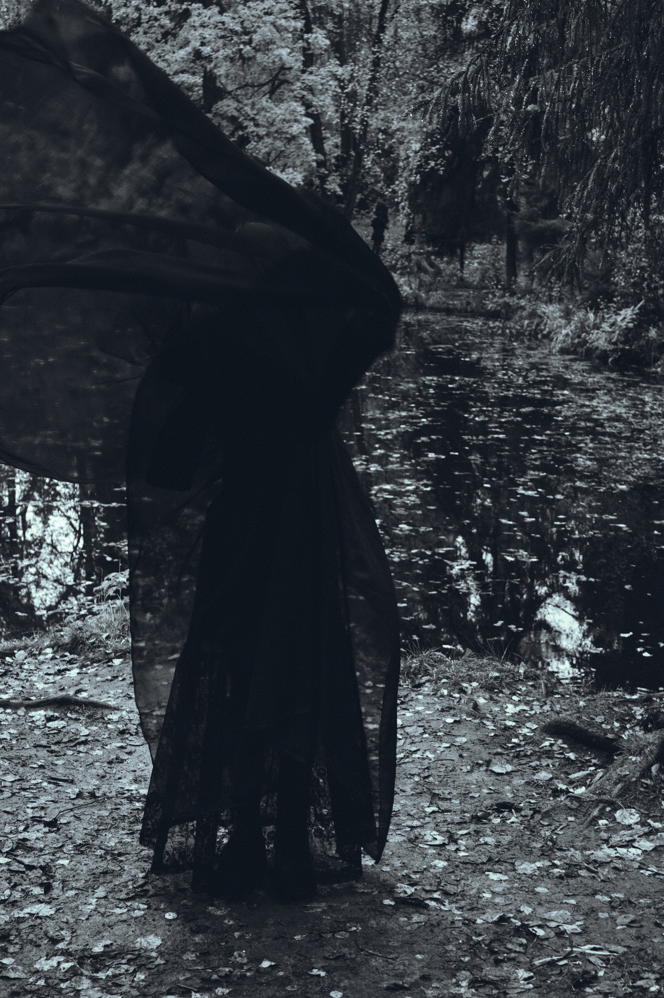 Вдохновление утренним туманом. Ваагн Малхасян | Фотограф | Санкт-Петербург. Создаю атмосферные кадры