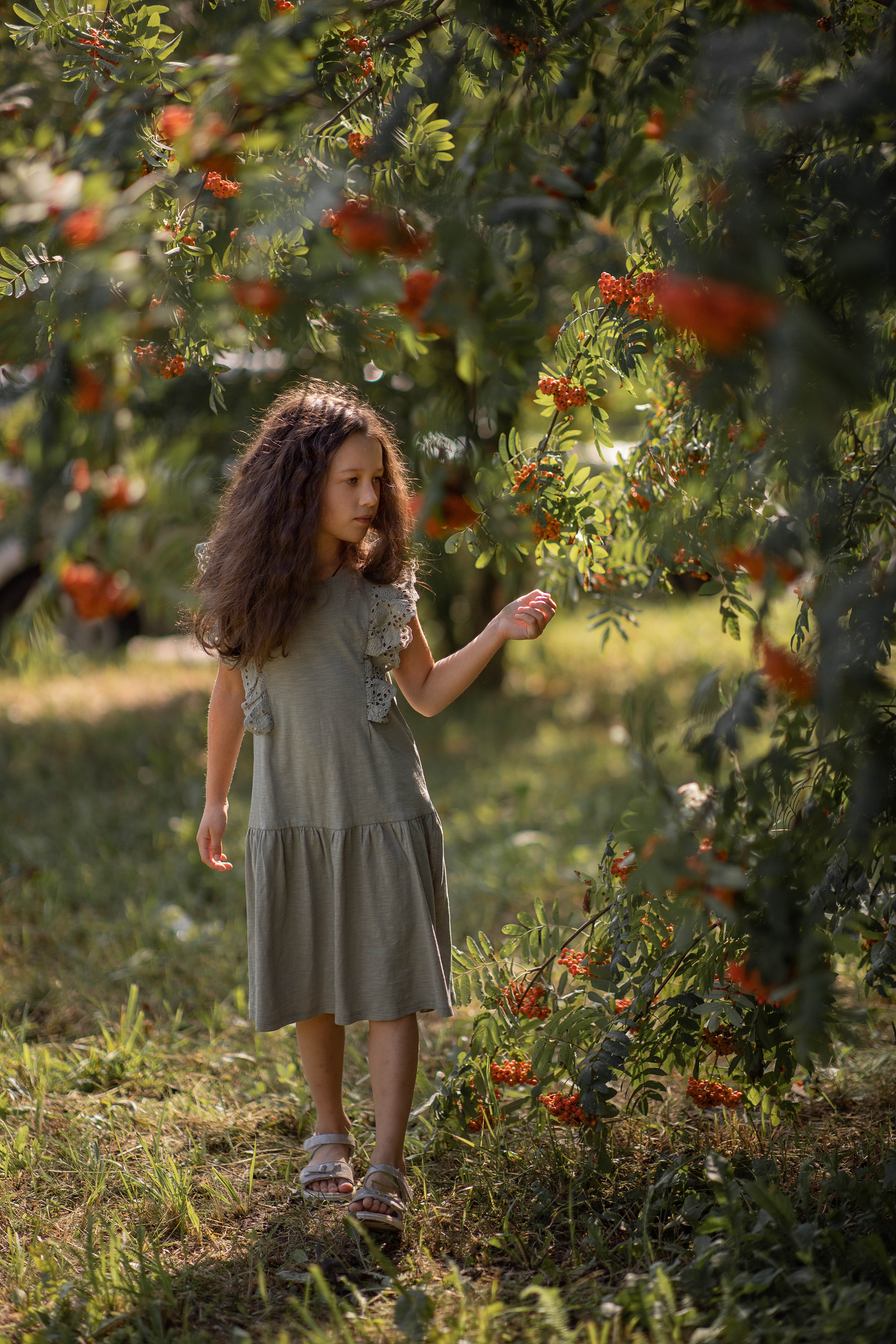 Съёмка в рябине. Детский и семейный фотограф в Твери Ольга Крестьянинова
