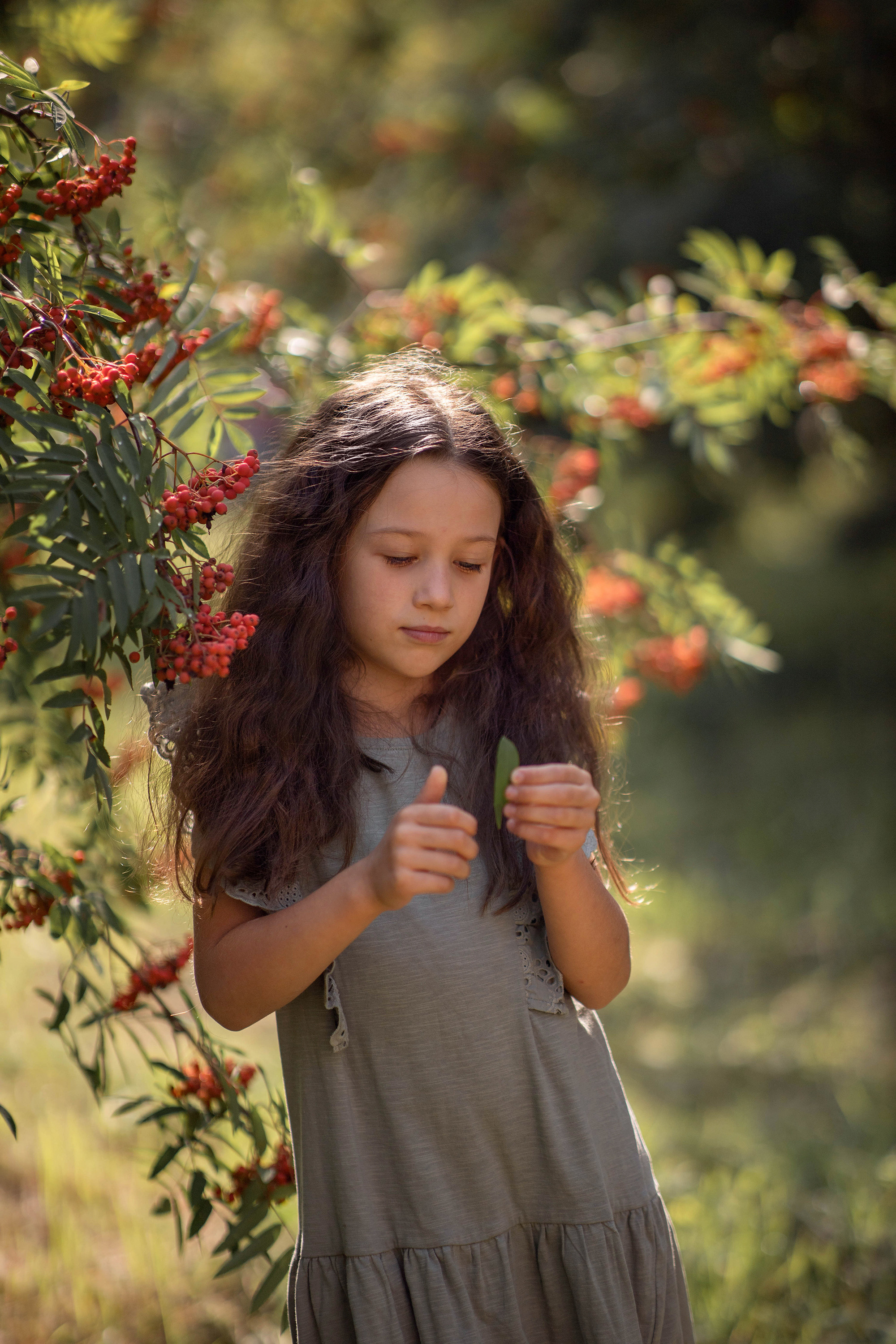Съёмка в рябине. Детский и семейный фотограф в Твери Ольга Крестьянинова