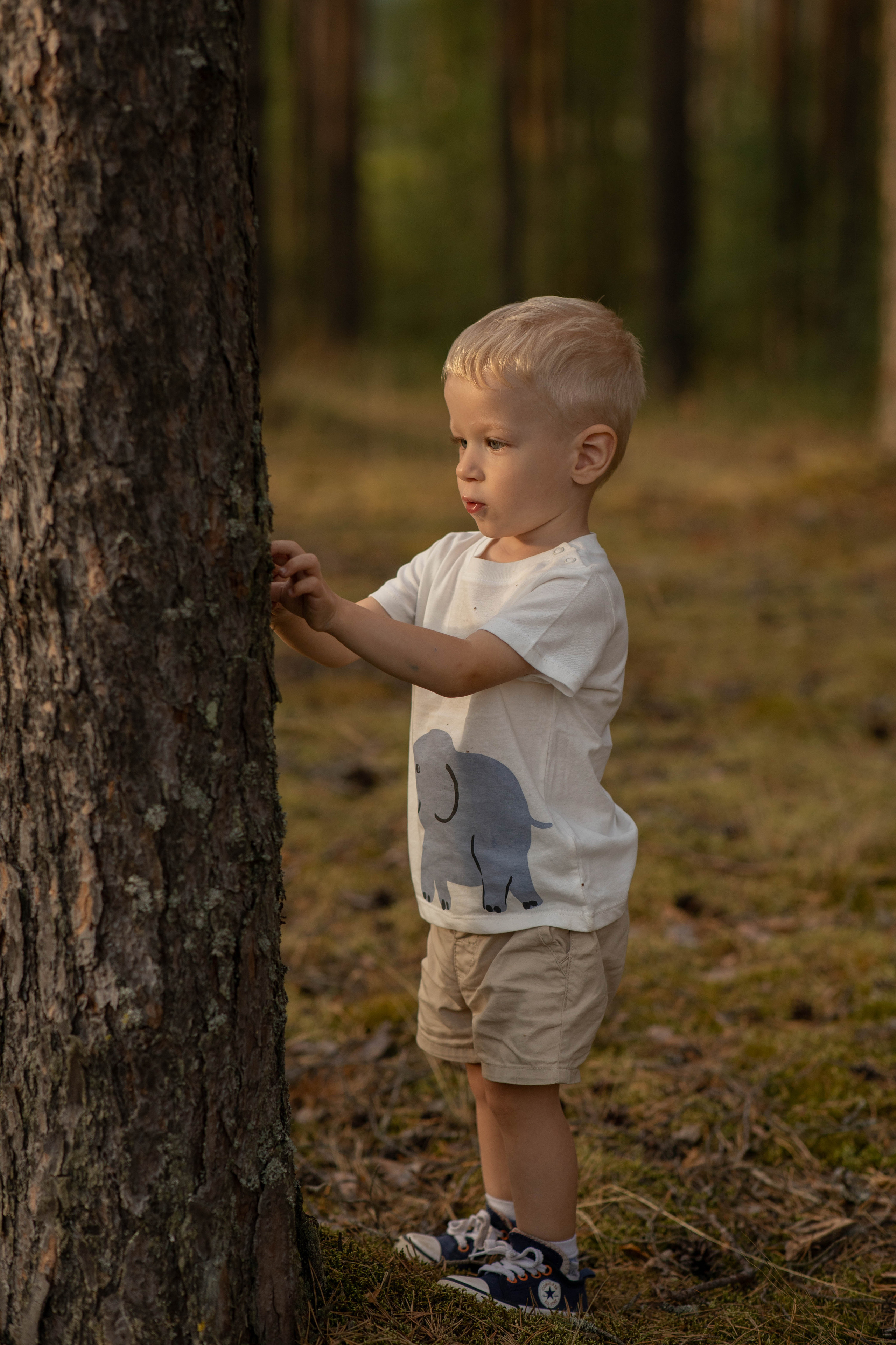 Прогулка на Орше с Кириллом и Марком. Детский и семейный фотограф в Твери Ольга Крестьянинова