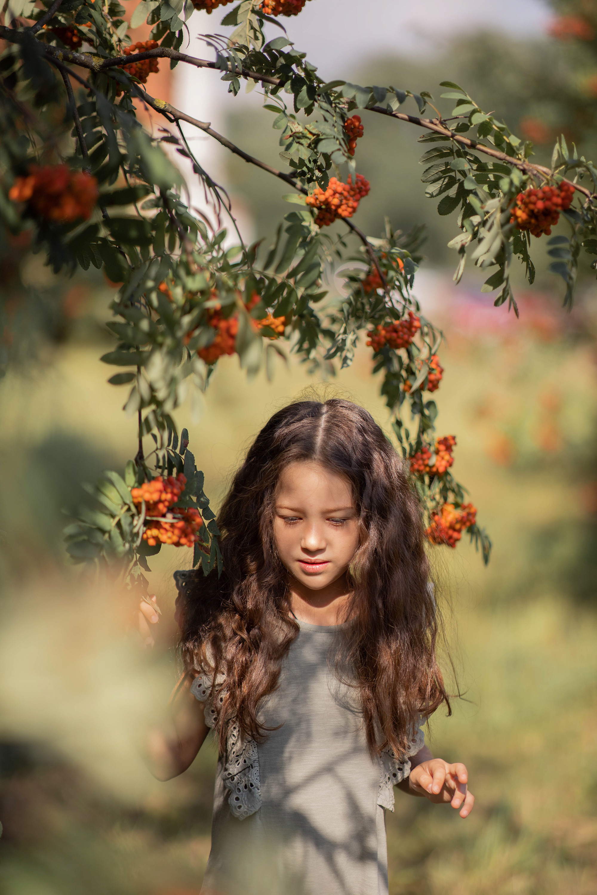 Съёмка в рябине. Детский и семейный фотограф в Твери Ольга Крестьянинова