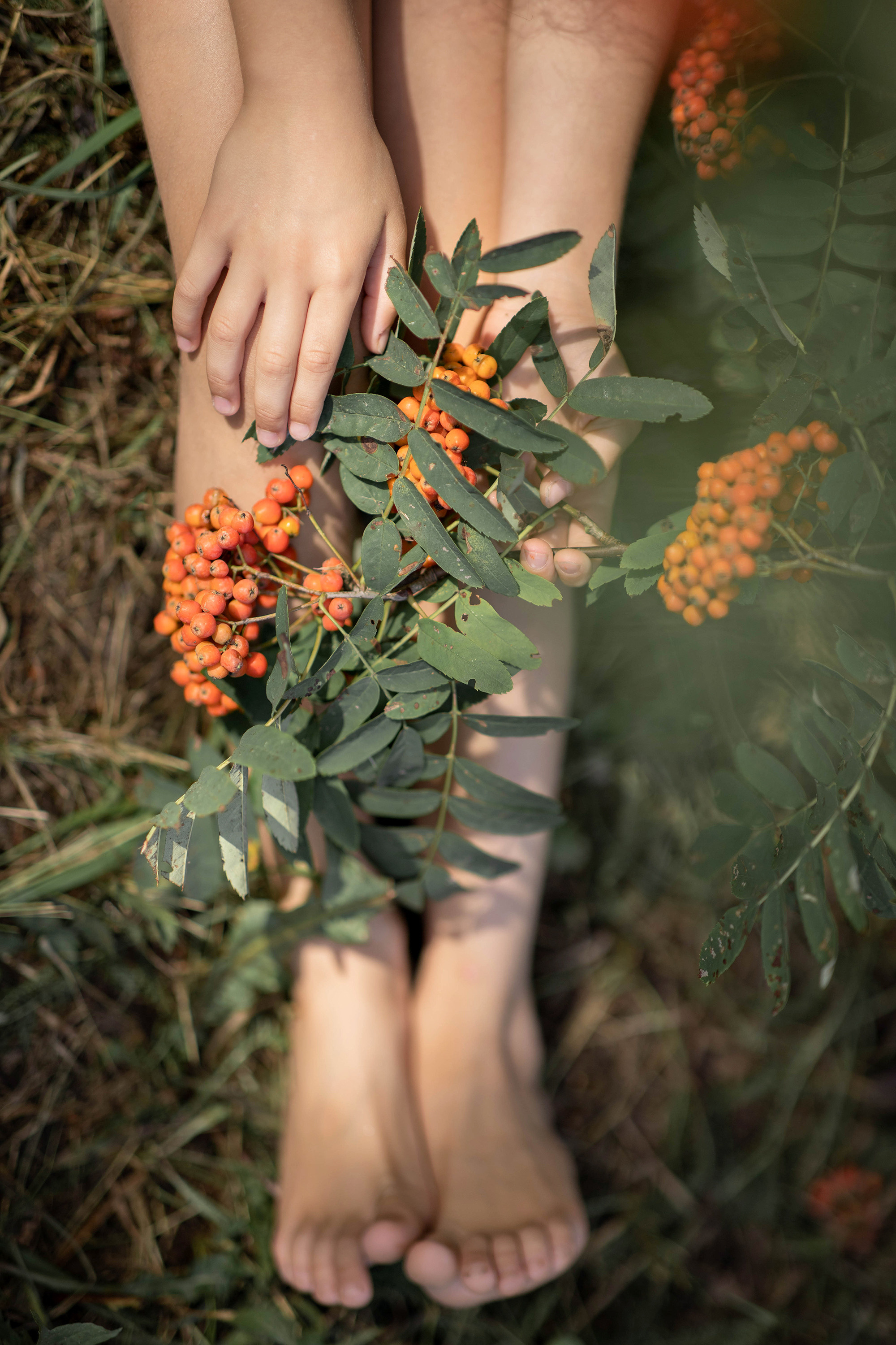 Съёмка в рябине. Детский и семейный фотограф в Твери Ольга Крестьянинова
