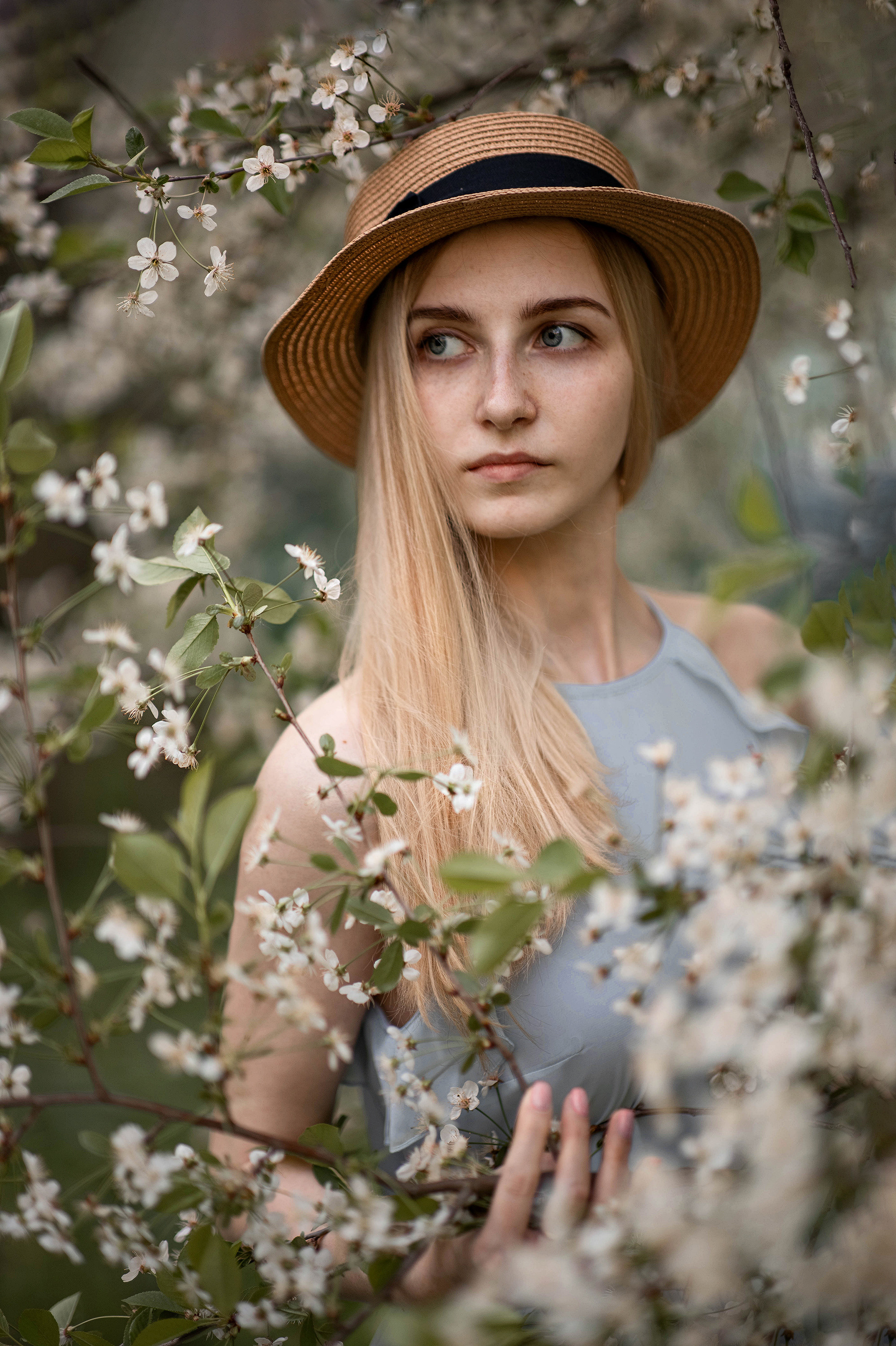 Цветение, девушка, фотосессия, портрет, женский портрет, весна, съёмка, яблоня, вишня, фотосессия в цветении