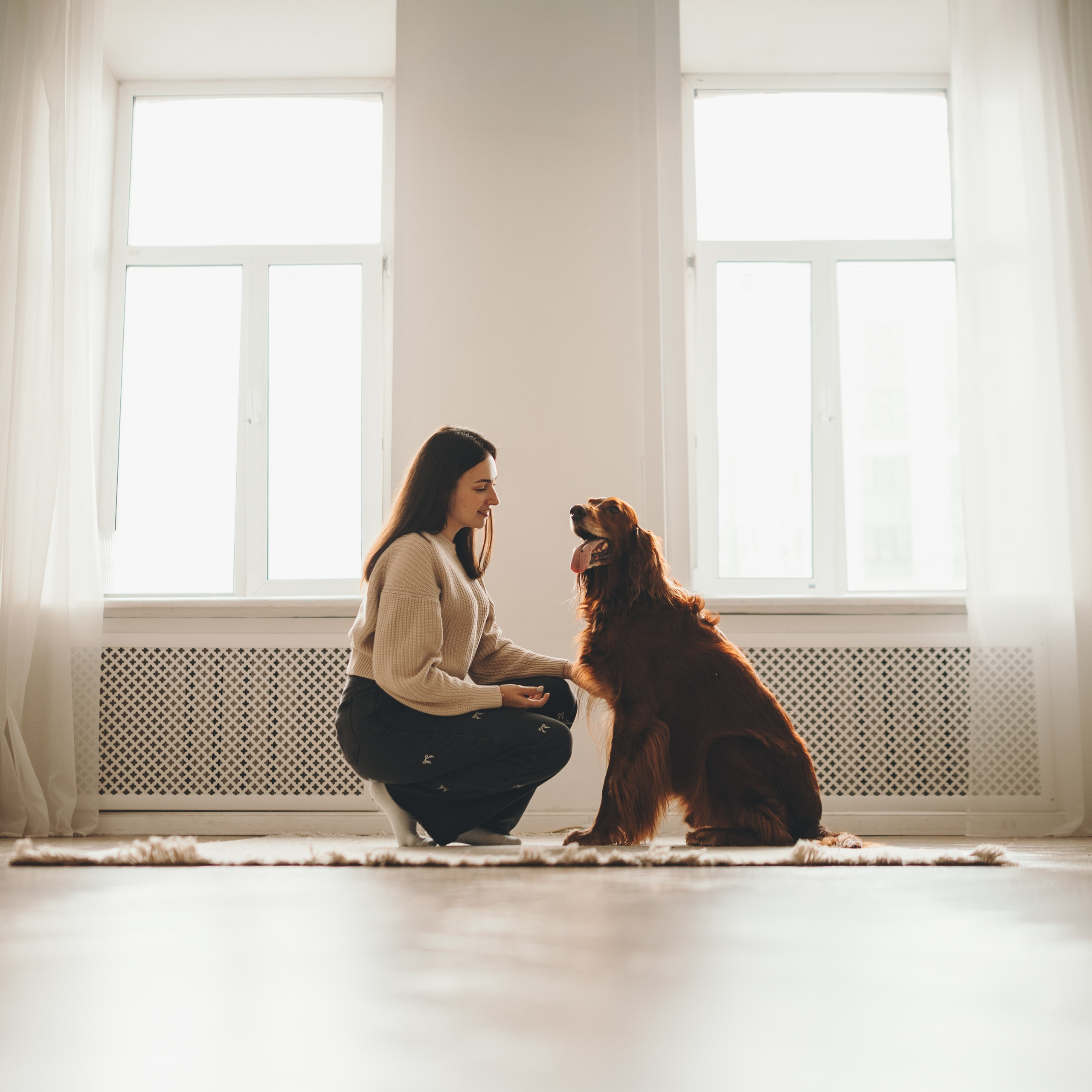 Маша, Илья и Локи. Семейный фотограф анималист Ананьева Мария — Москва
