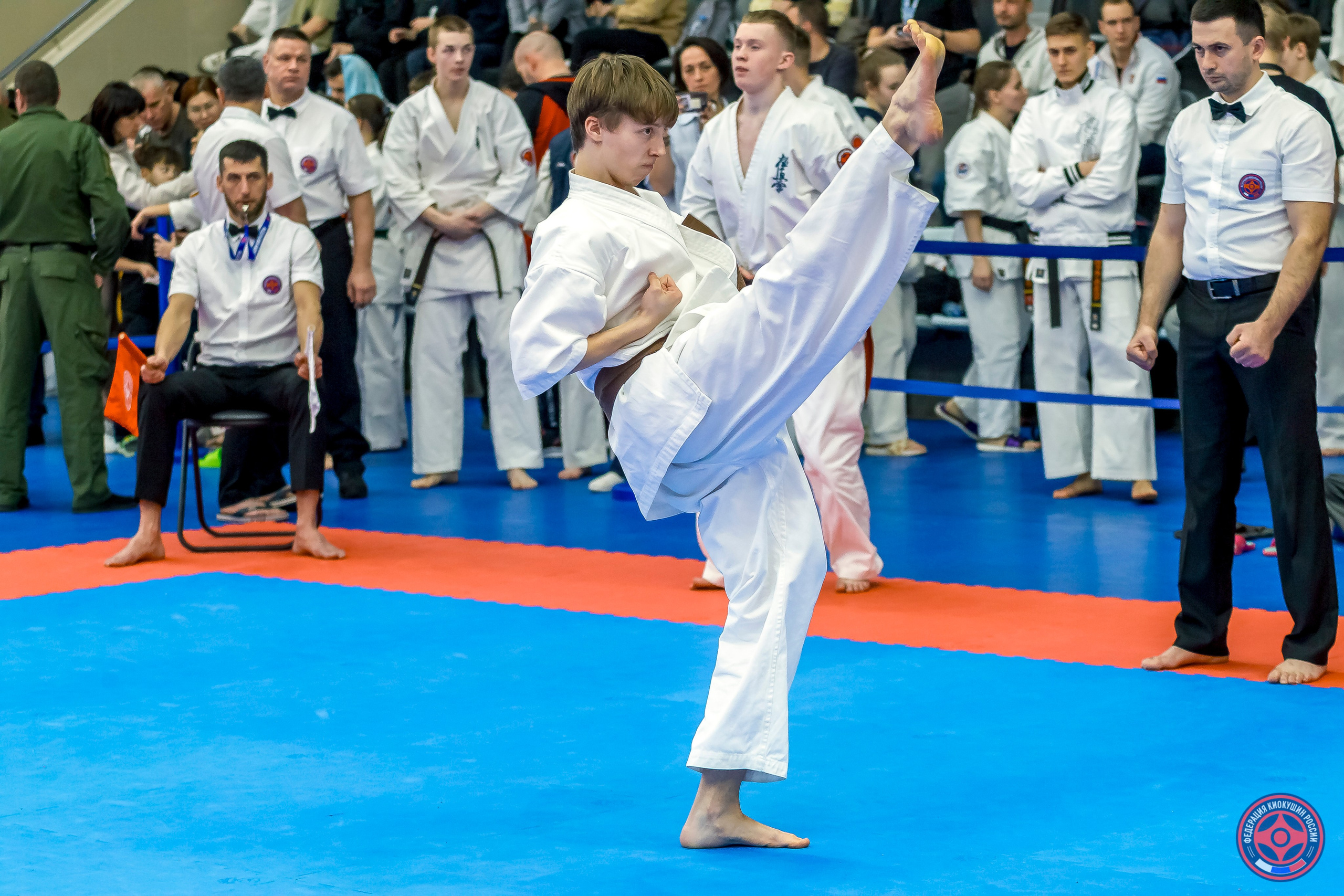 Международный турнир по киокушин «Открытый кубок Seiken». Репортажная съемка в Москве и области. Анималистика