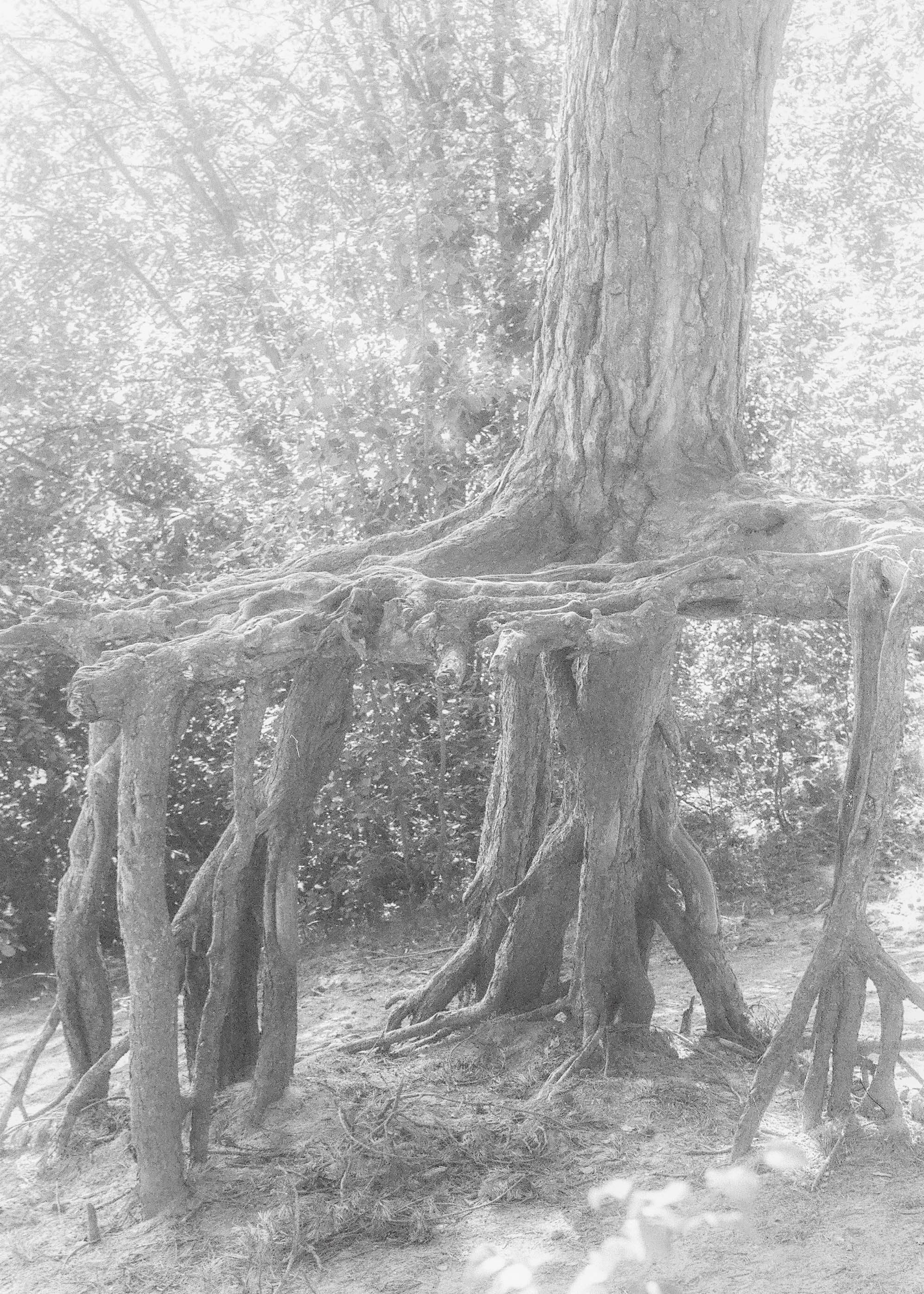 Плёнка 35/120мм. Katya Medvedeva