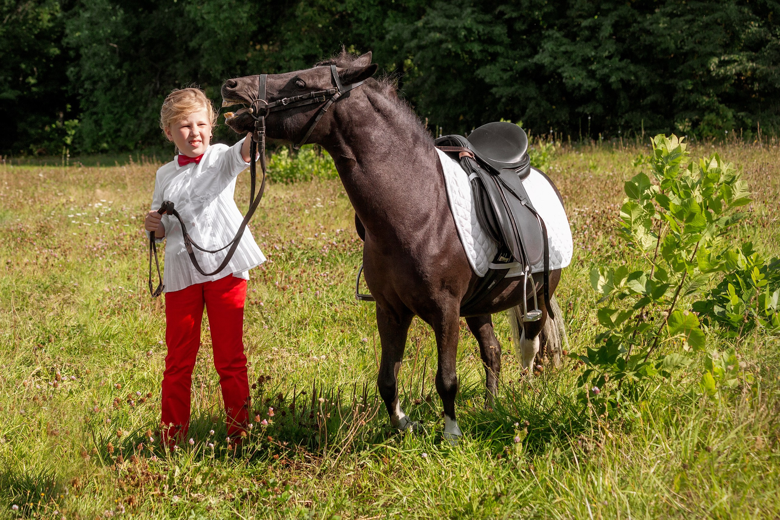 Девочка и гнедой пони на опушке леса, детская прогулочная фотосессия.