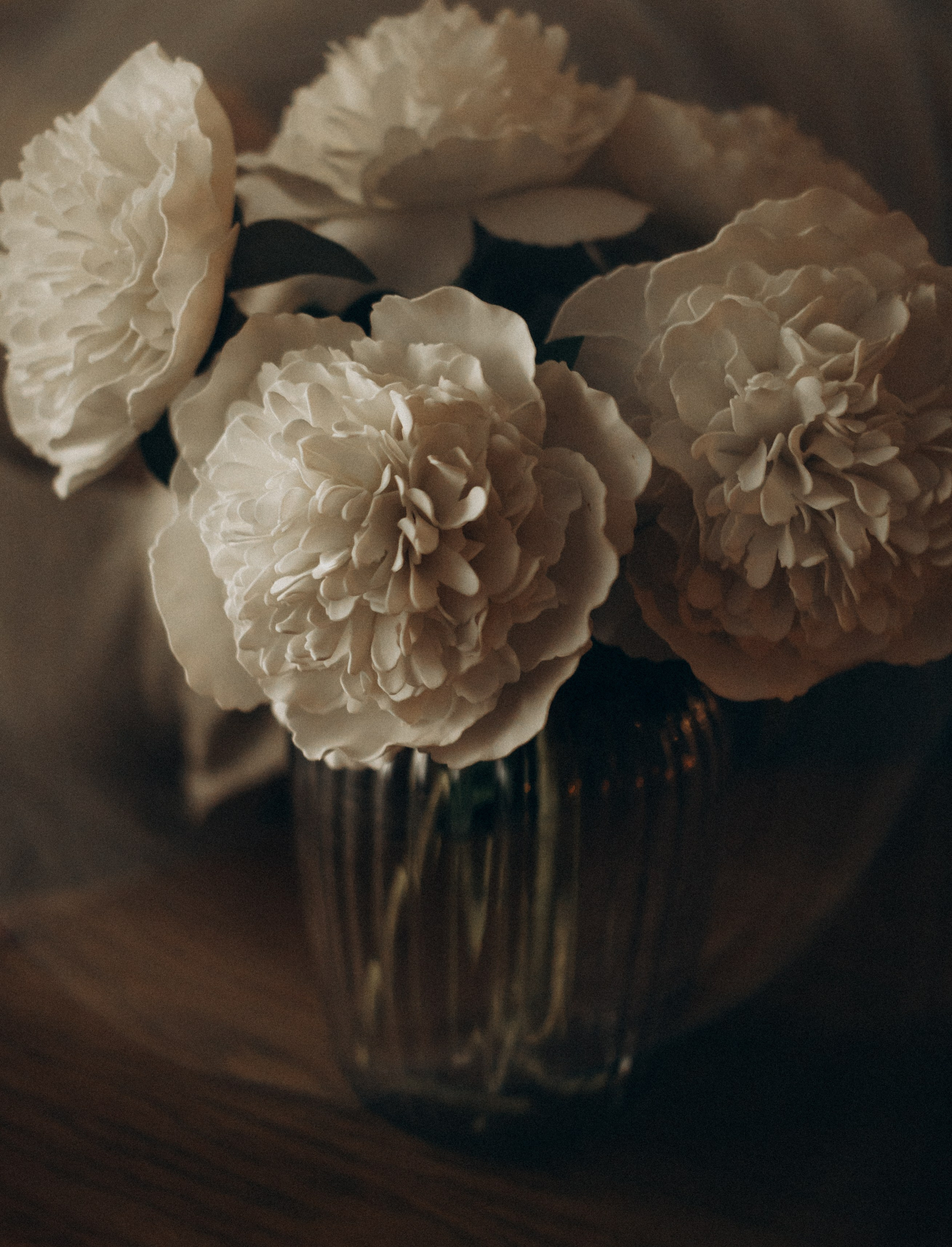 Домашняя история. Семейный и детский фотограф в Рязани Екатерина Воронцова