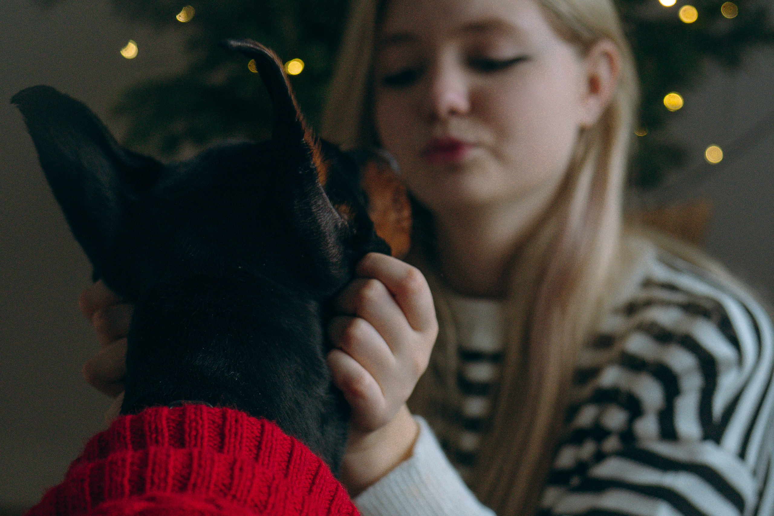 Саша и Асти. Фотограф анималист в Москве и Санкт-Петербурге Свиридова Анна