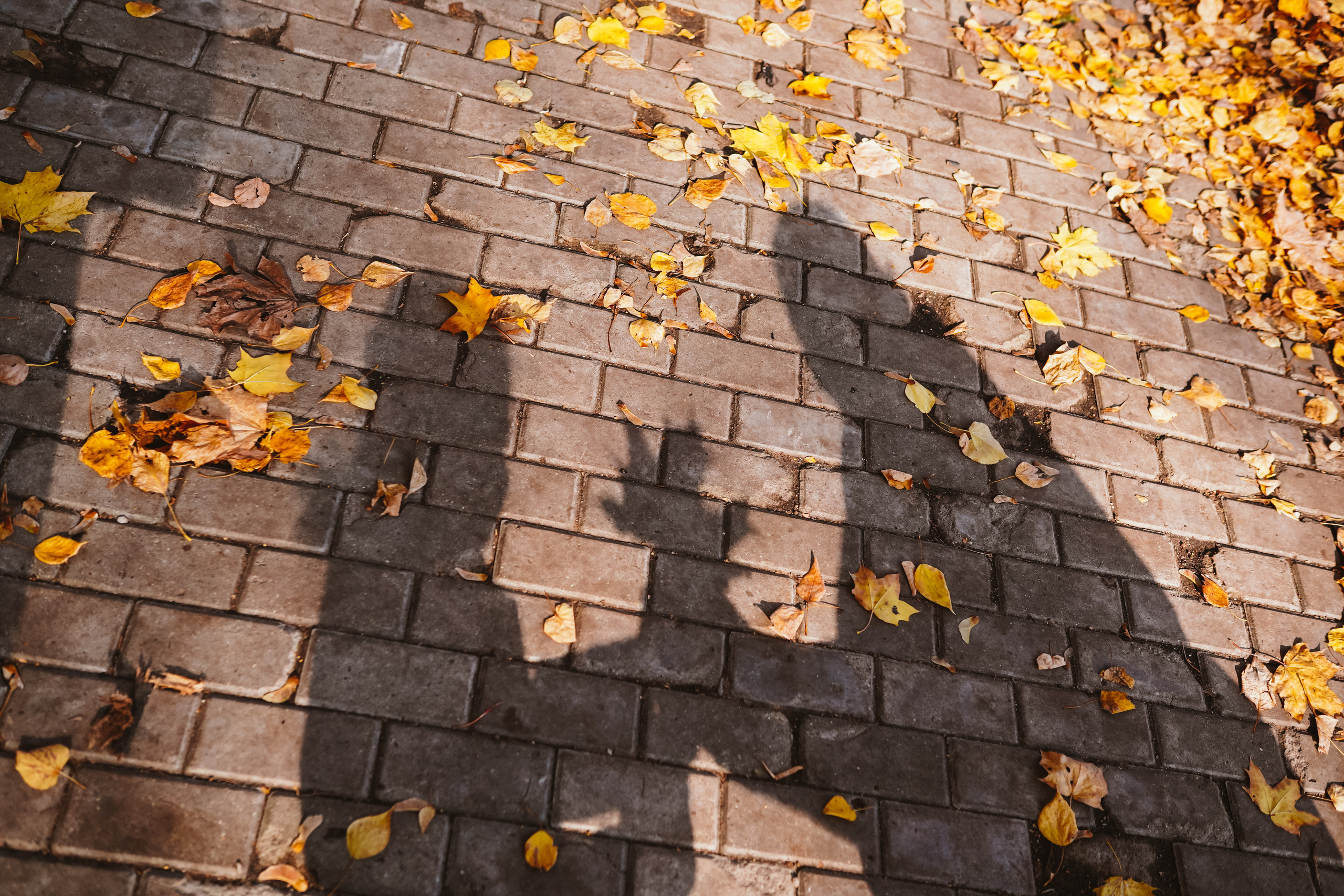 Осень с Машей. Семейный lifestyle фотограф Наталья Разгуляева в Москве