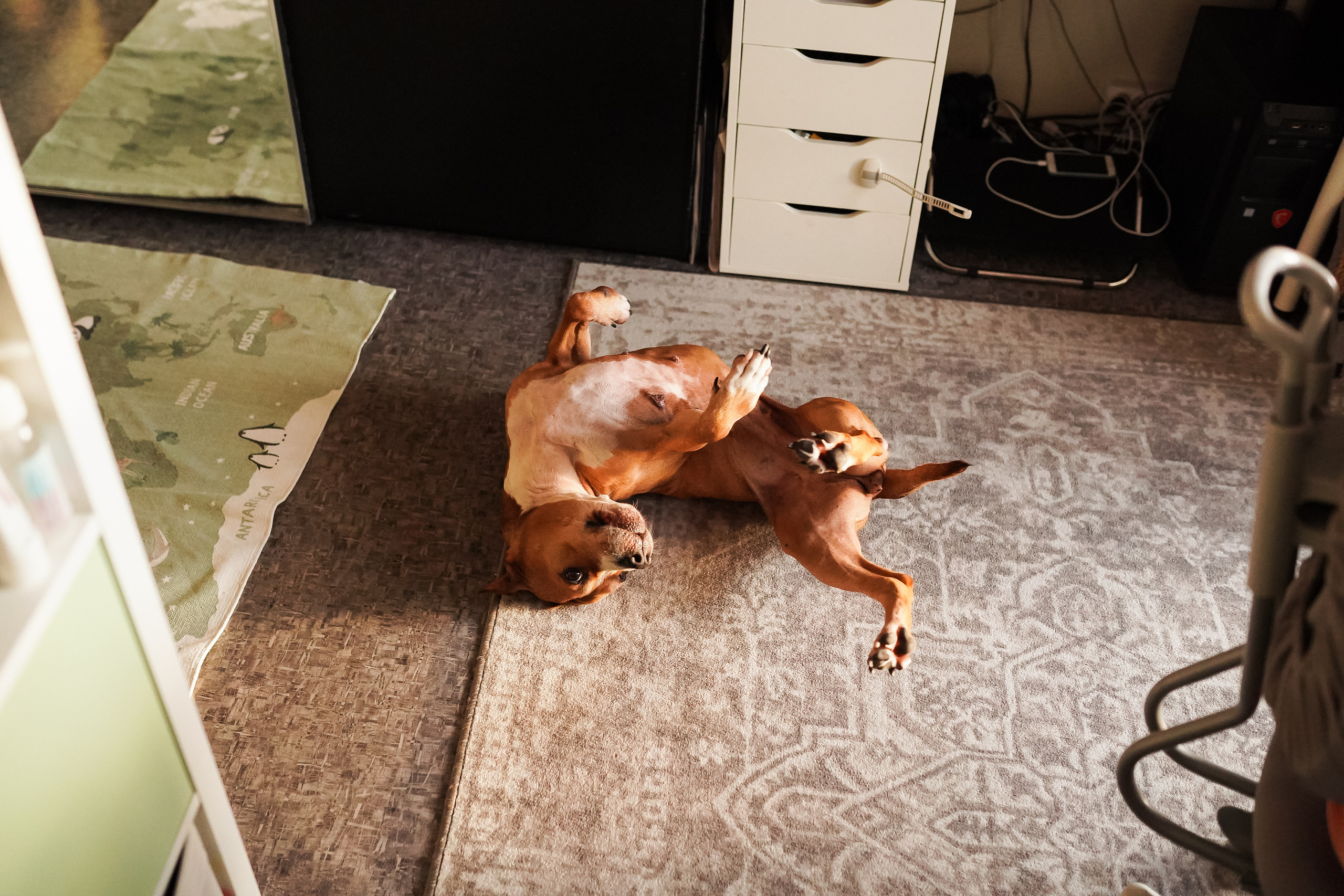 1 е сентября Вари. Семейный lifestyle фотограф Наталья Разгуляева в Москве