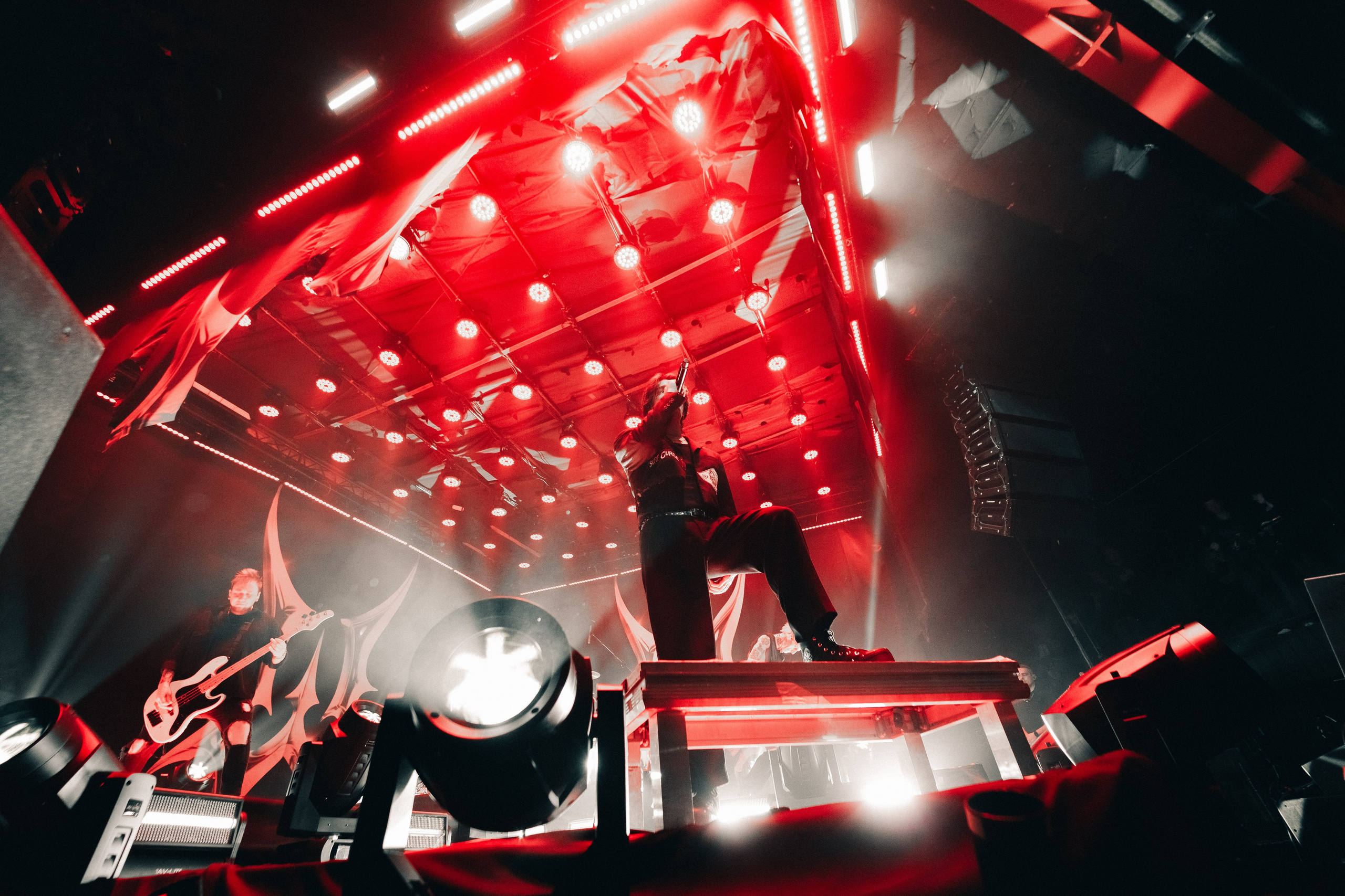 WILDWAYS. PASHAHARCE PHOTOGRAPHER & VIDEOGRAPHER