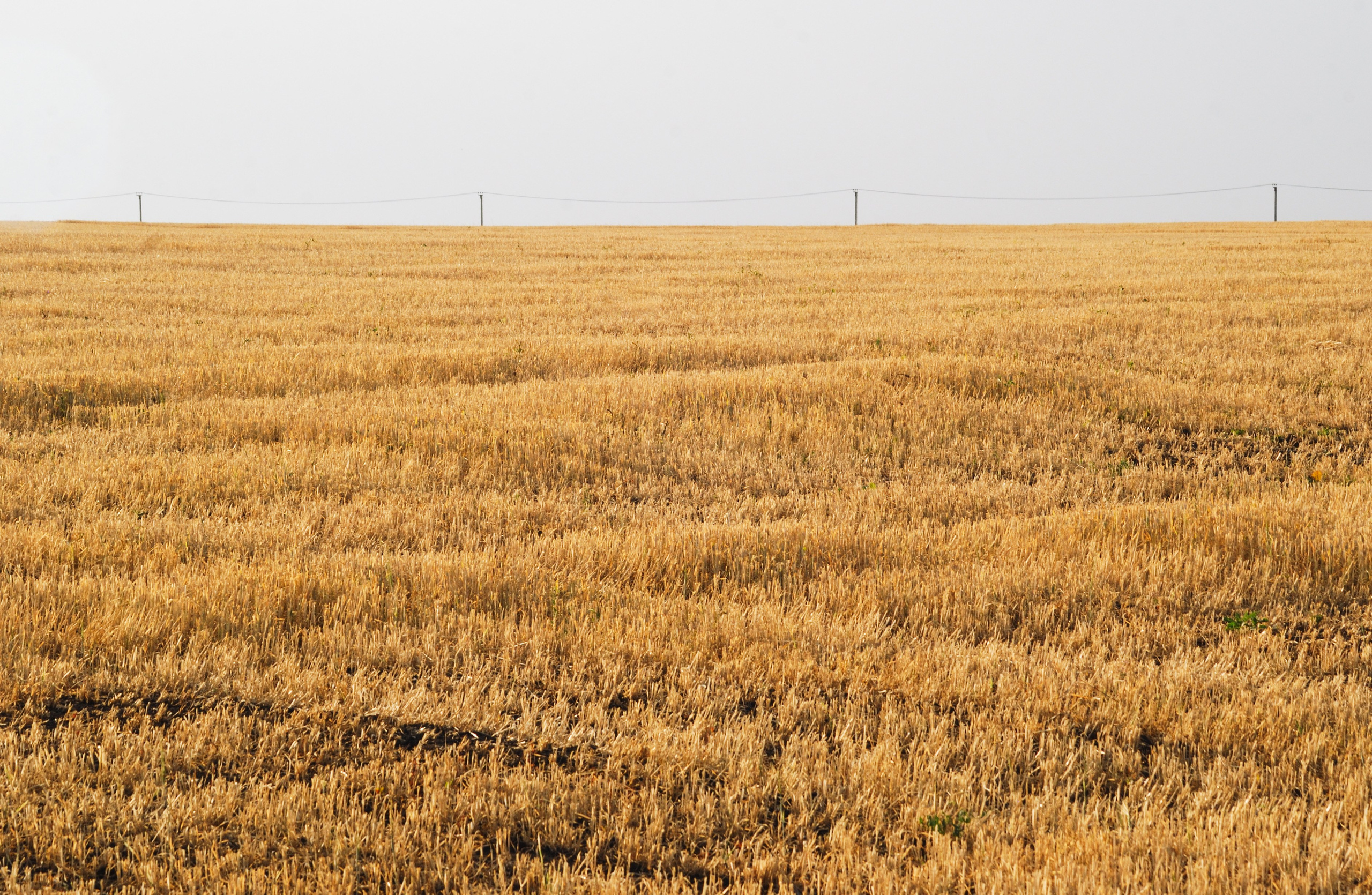 Этот прекрасный мир
