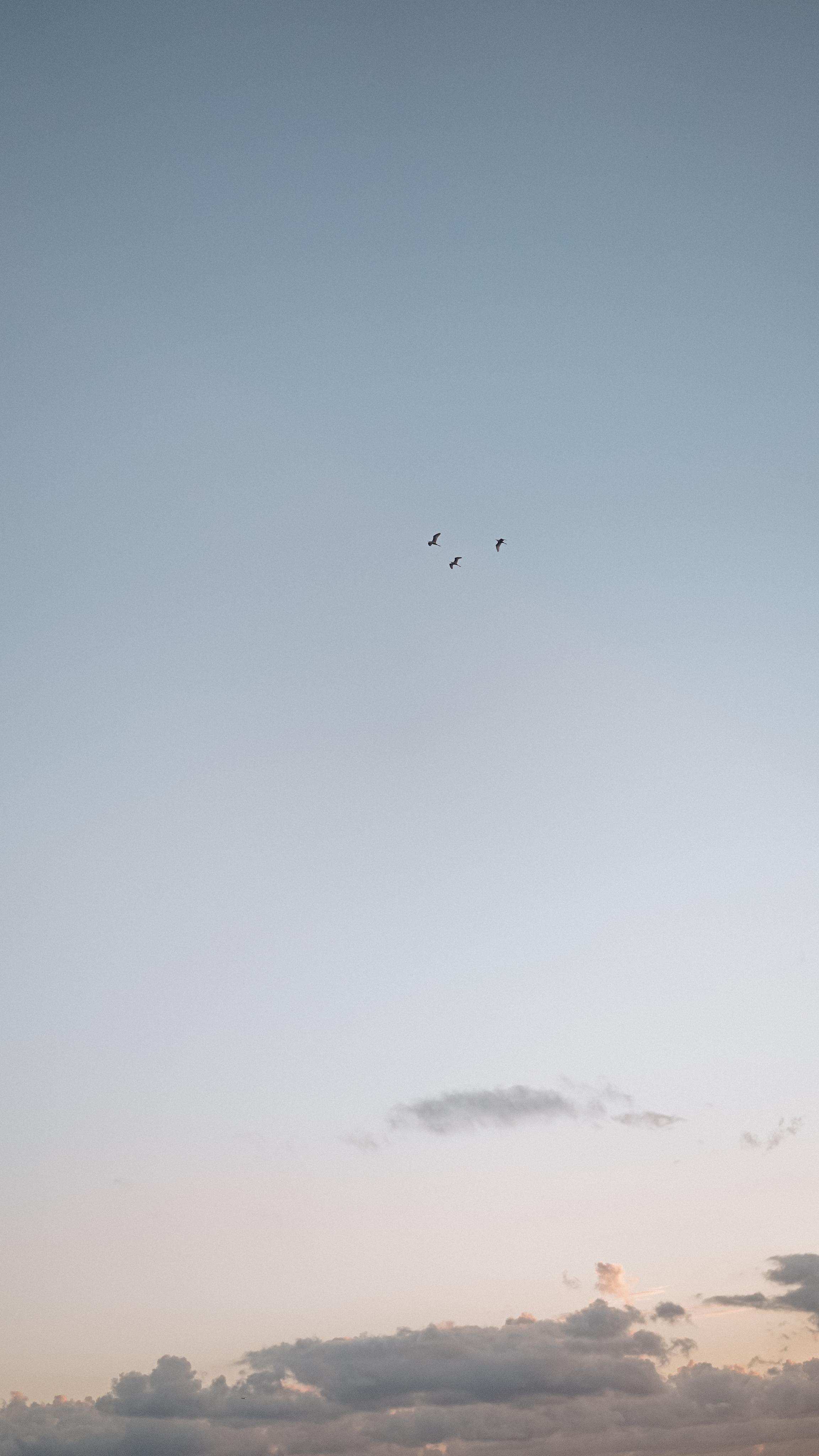 Ольга Артем Марк. Милана Довгаль - семейный фотограф и видеограф  в Адлере и Сочи