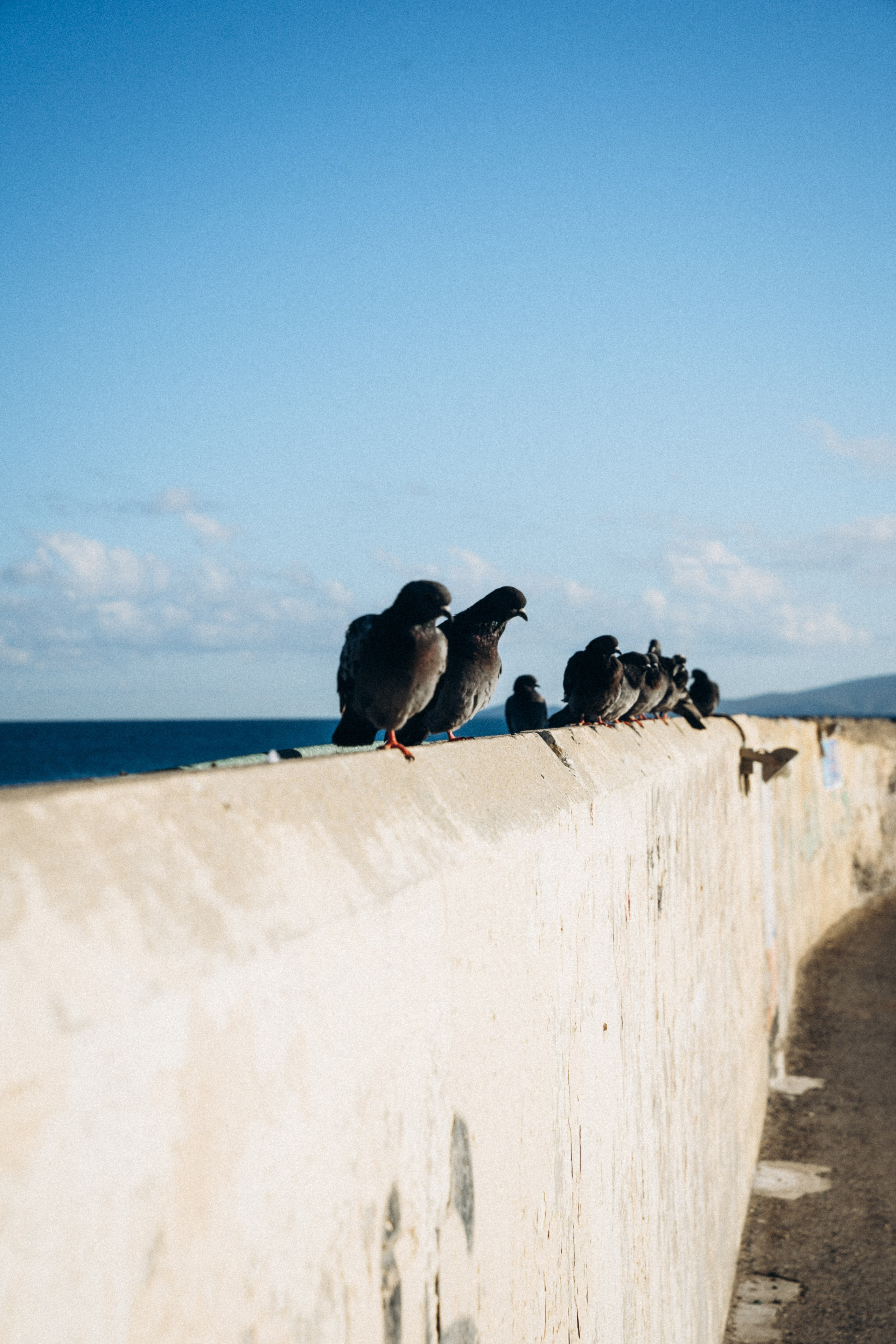 Крит 🇬🇷. Anita_photo