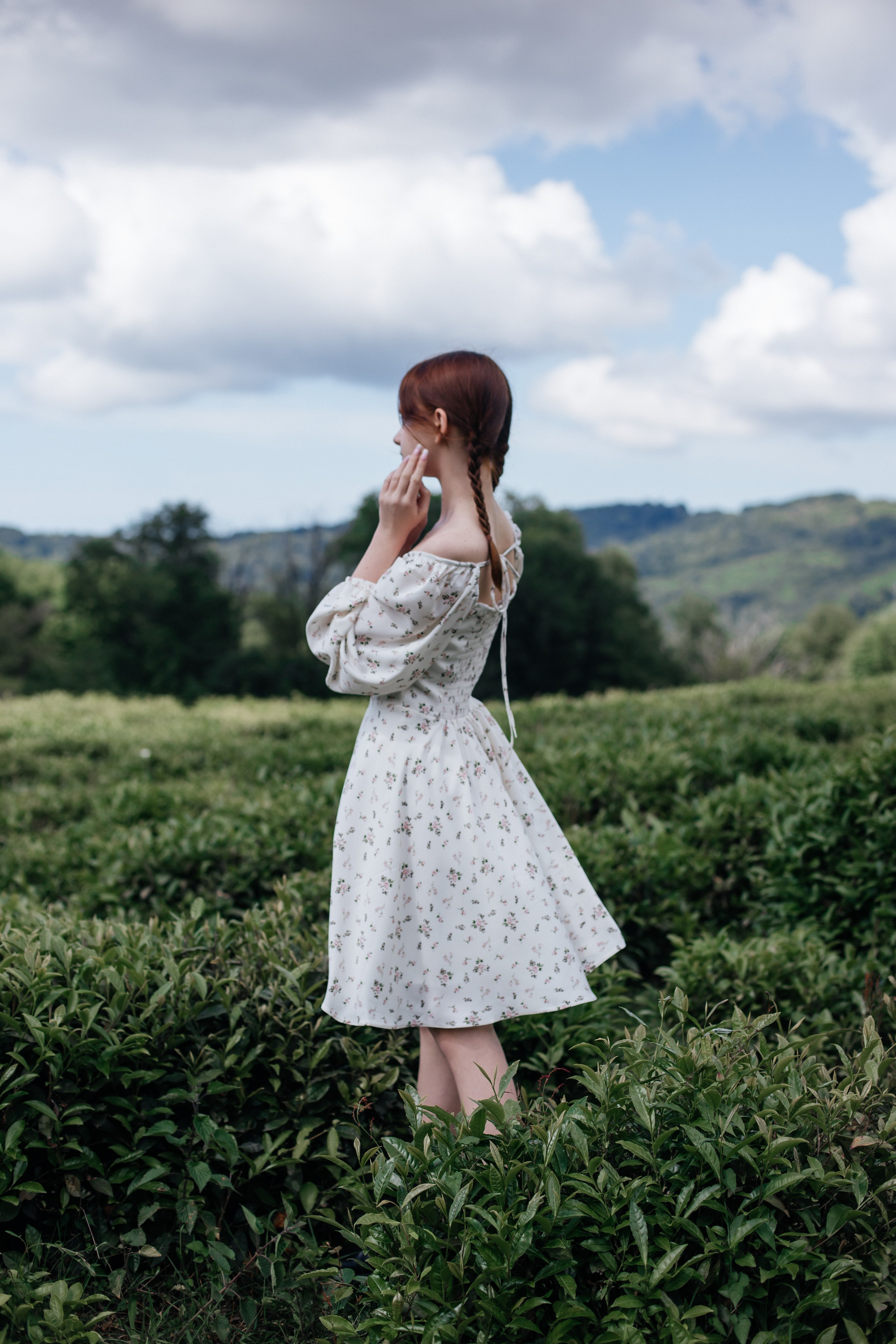 Tea plantation. Efimova Model Agency