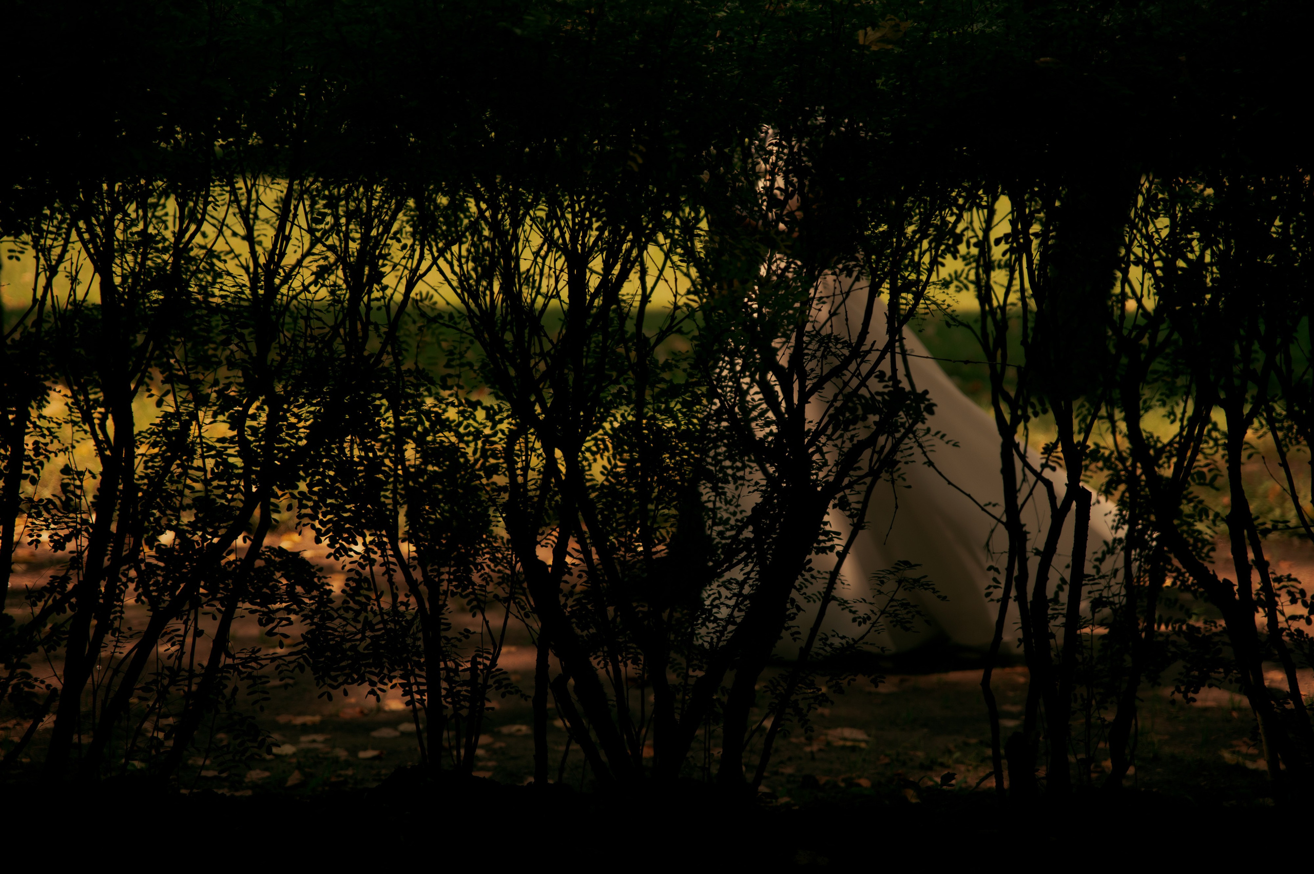 Валентина и Сергей. Свадебный и портретный фотограф в Москве Жердев Даниил