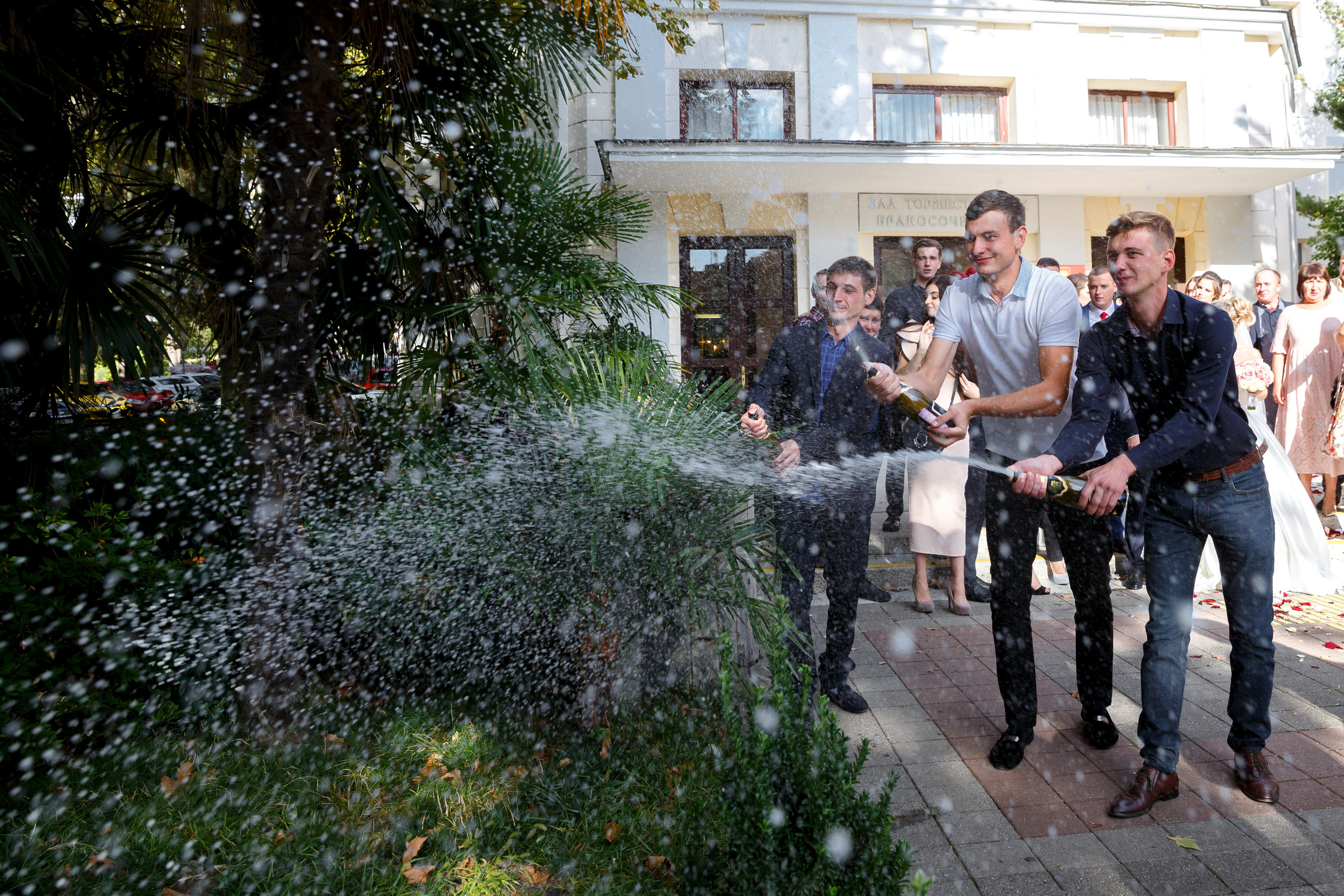 Роман и Юля. Изящная и грациозная свадебная пара. Свадебный фотограф Краснодар, Сочи, Геленджик, Анапа, Ростов