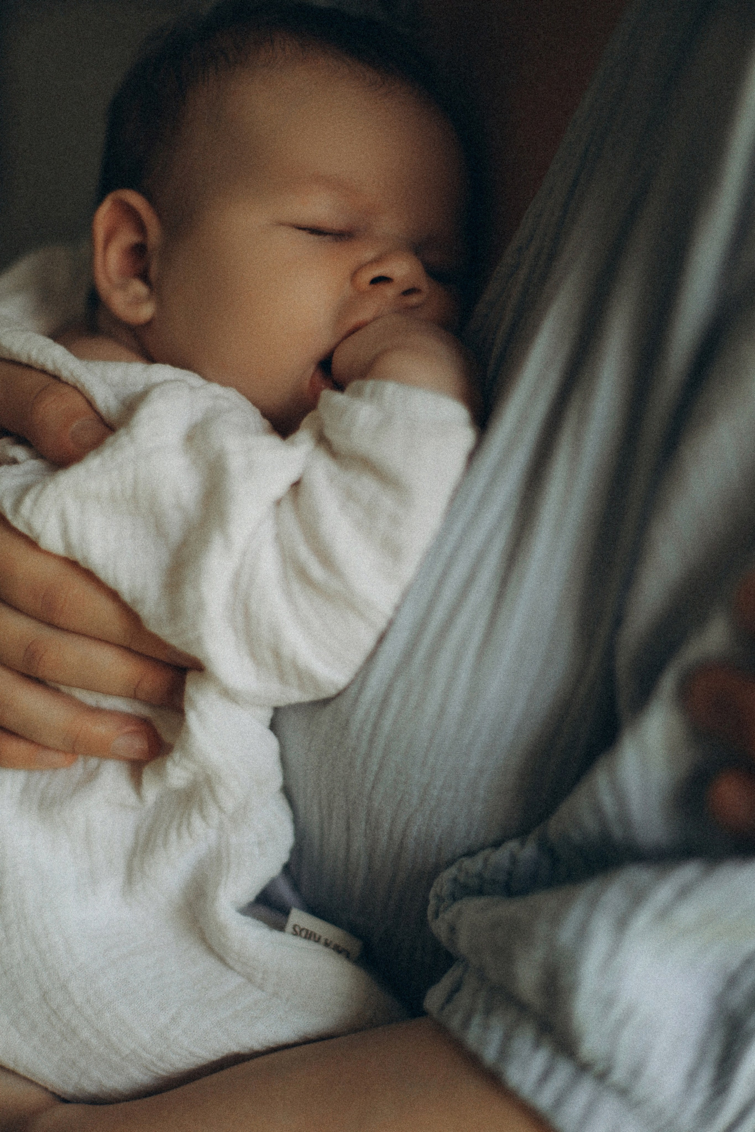 Настя, Саша и Василиса