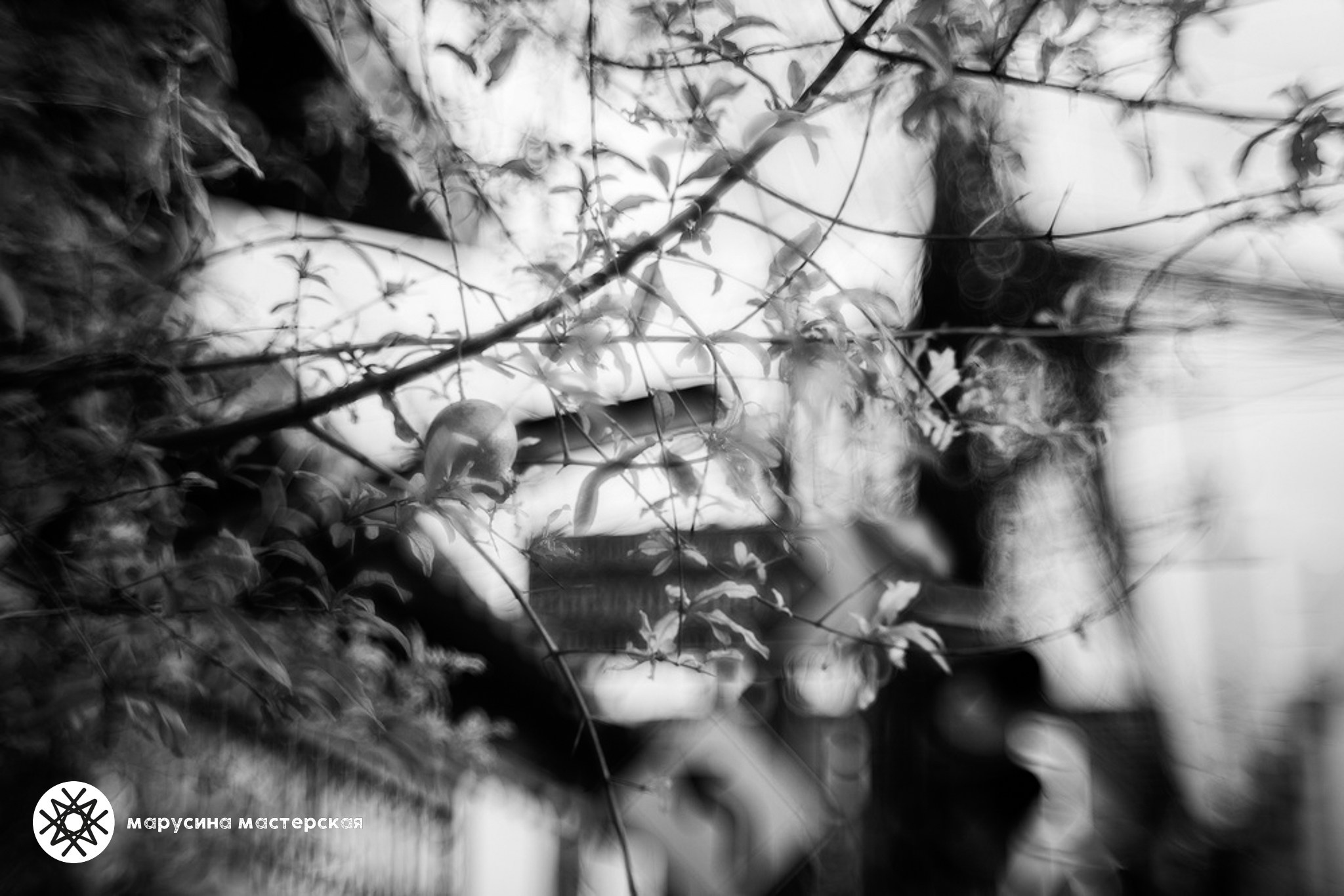 Творческая фотография, снятая в рамках зимней творческой практики, автор — Ксения Щеглова