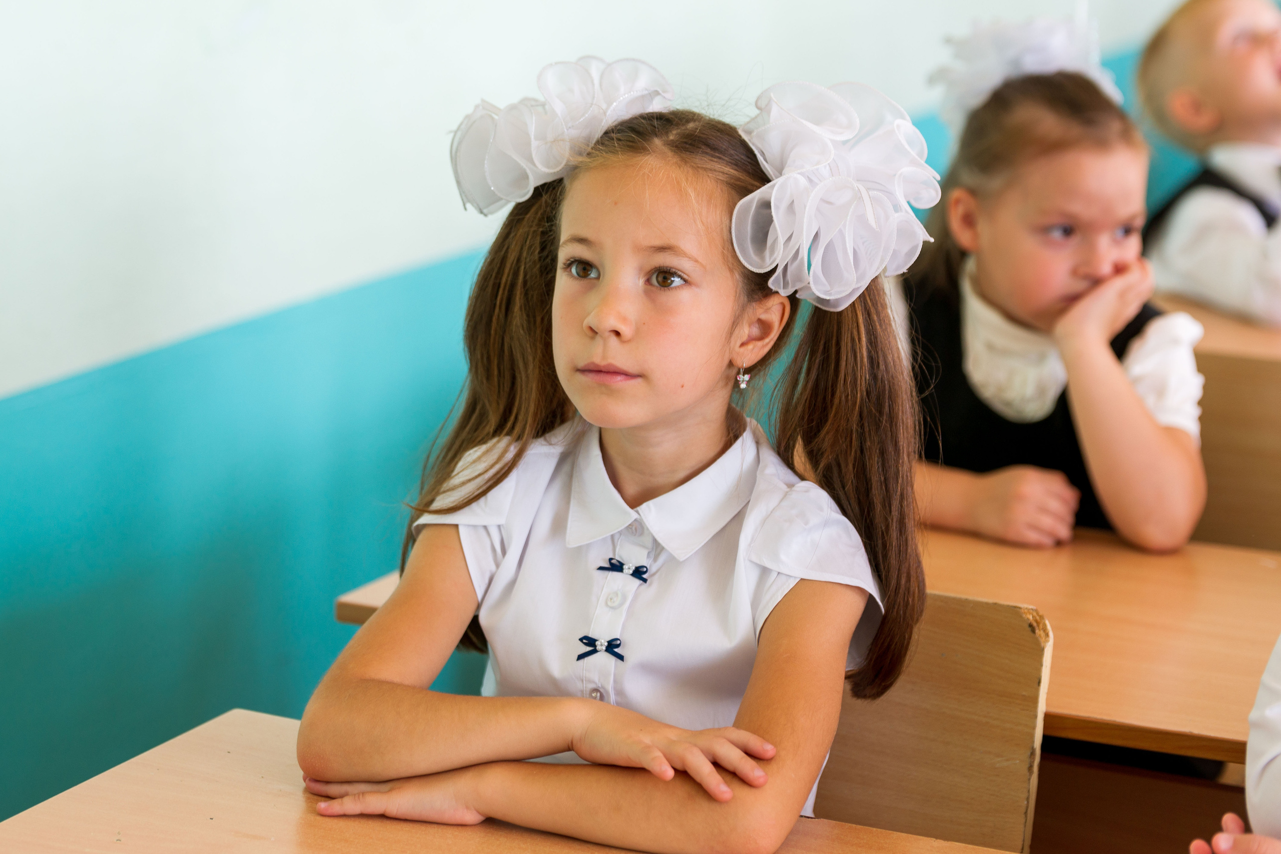 Фотографии Соколова Михаила в городе Пермь. Михаил Соколов Выпускные альбомы для детских садов и школ в г. Пермь