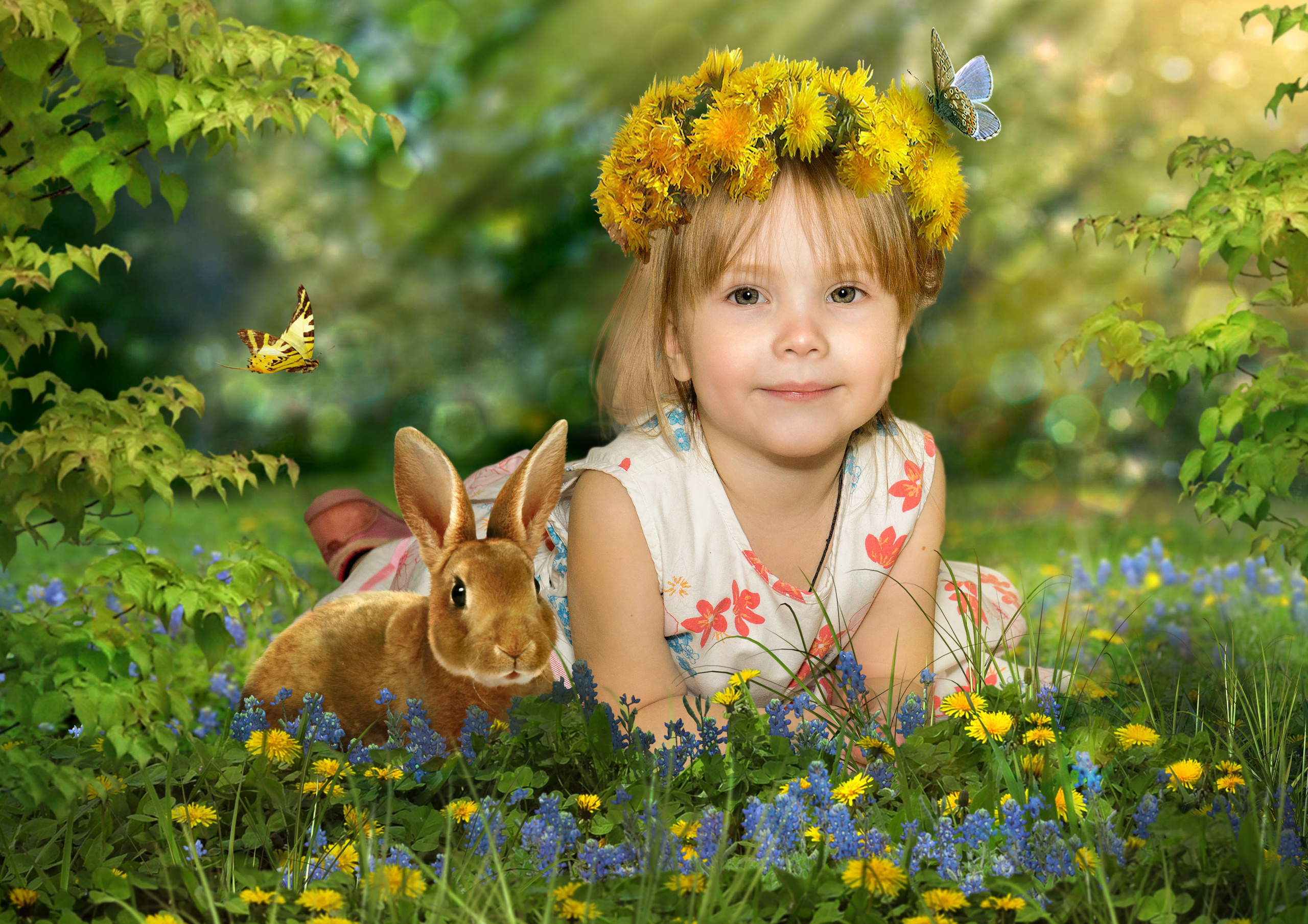 Фотографии Соколова Михаила в городе Пермь. Михаил Соколов Выпускные альбомы для детских садов и школ в г. Пермь