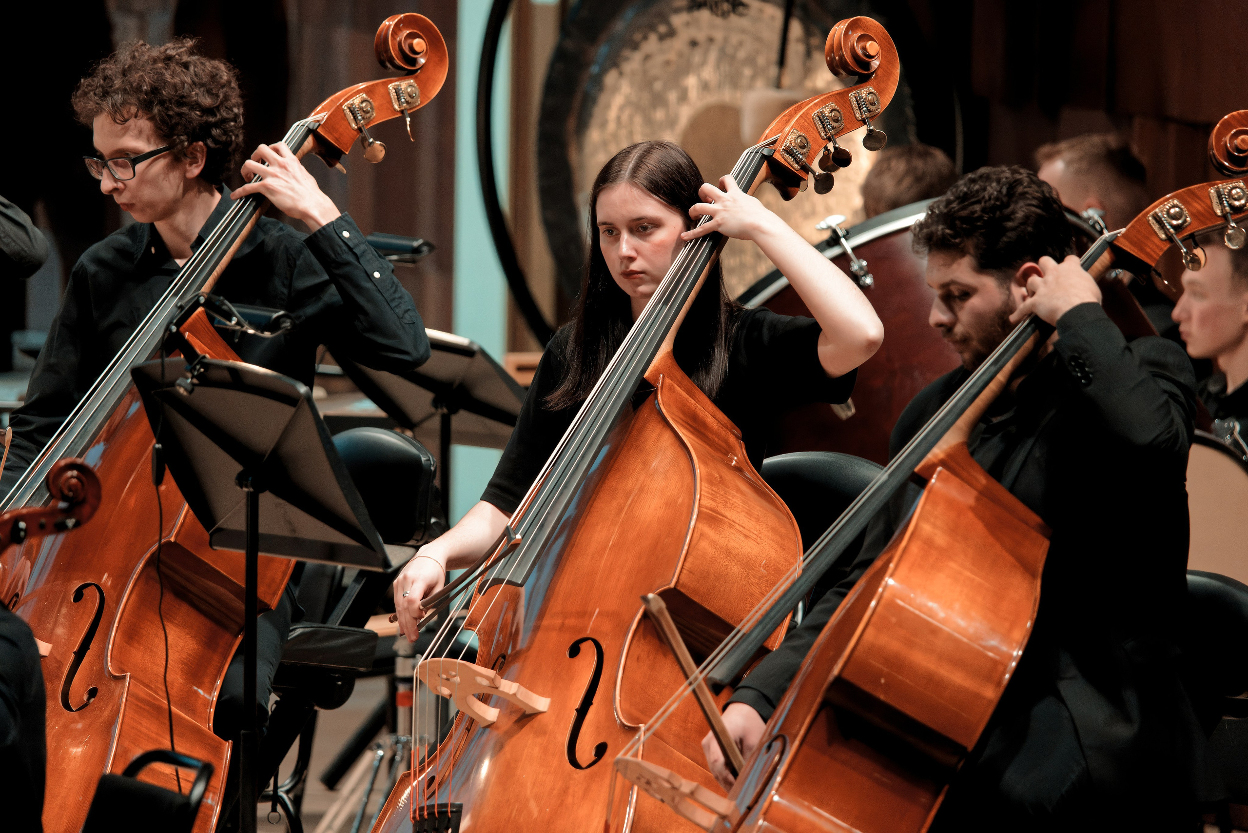 Музыканты контрабасисты играют в симфоническом оркестре - крупный план струнной группы, классическая музыка, концертная съемка оркестра