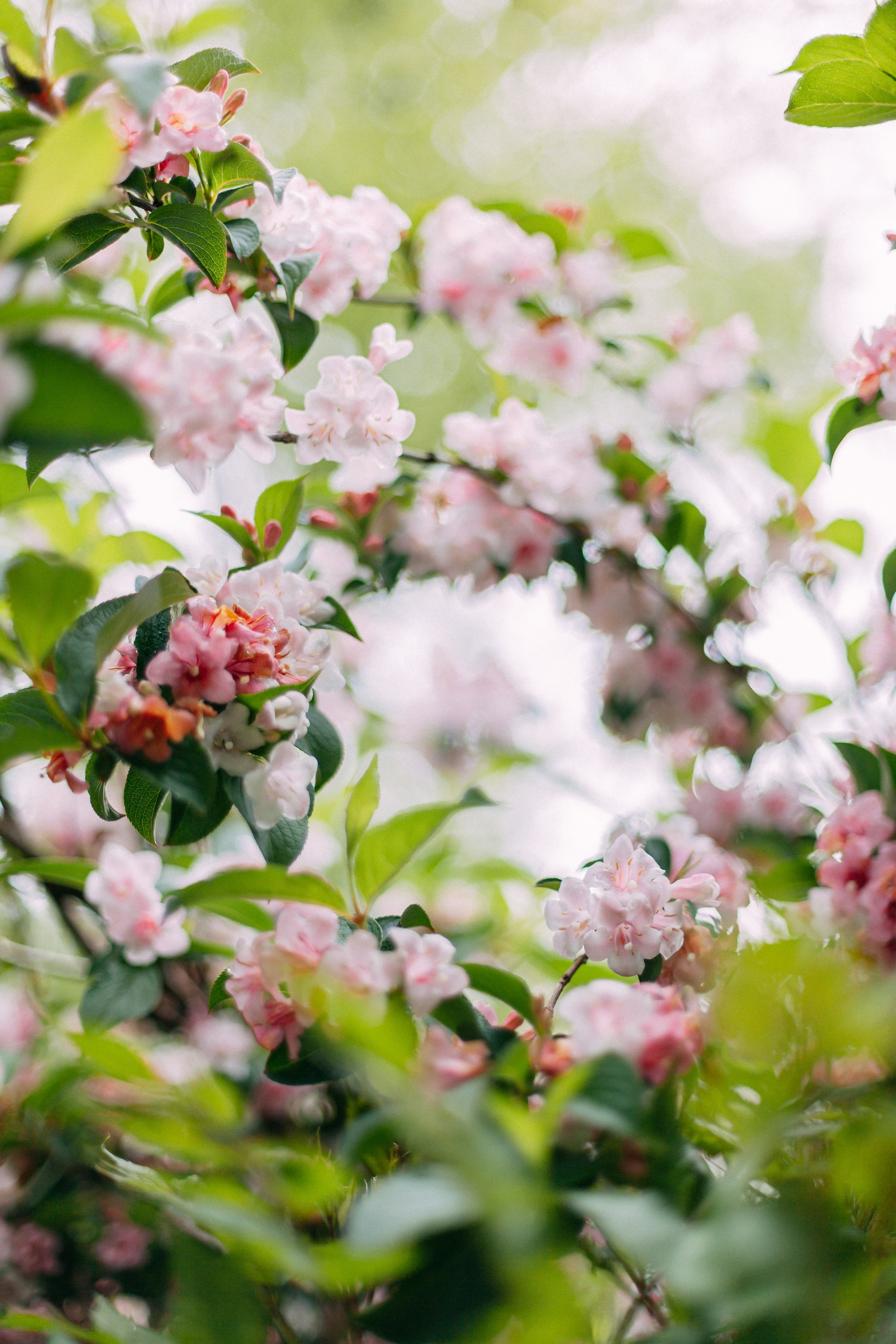 Сочи. Аня Степанова