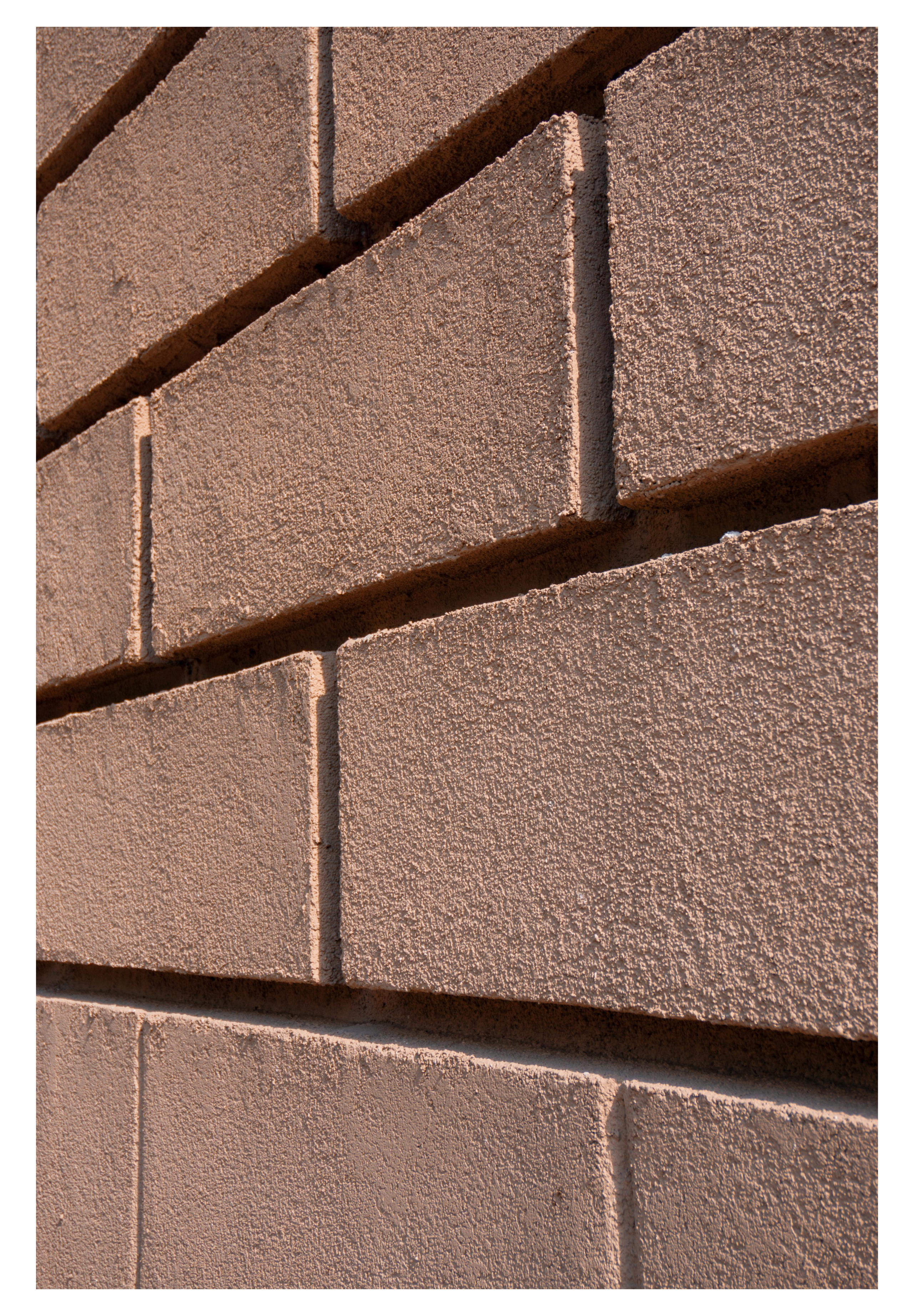 03.06.2025 | Красноярск. Kuznetsov | Фотограф в Красноярске