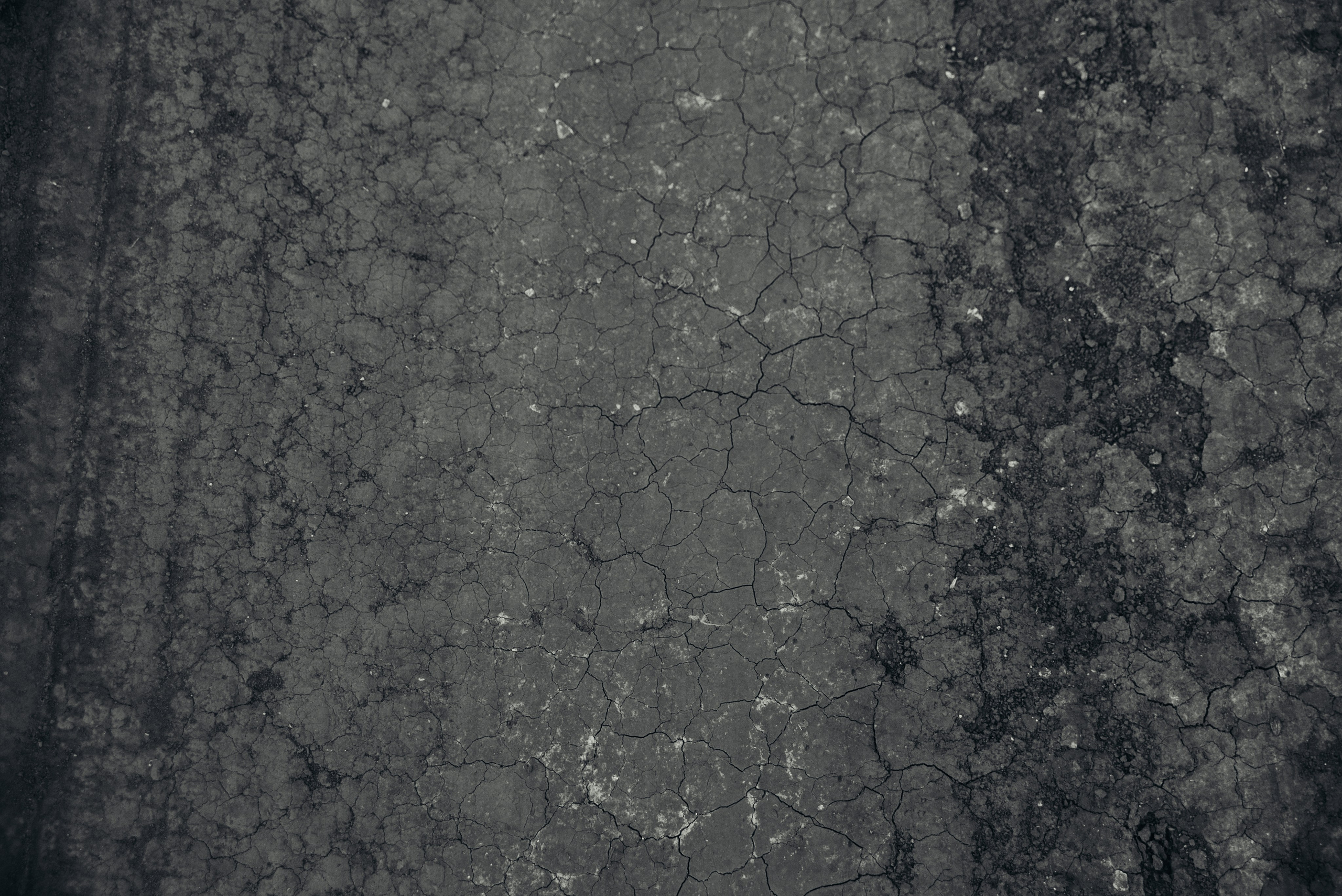 Человек и Рыба. Главная