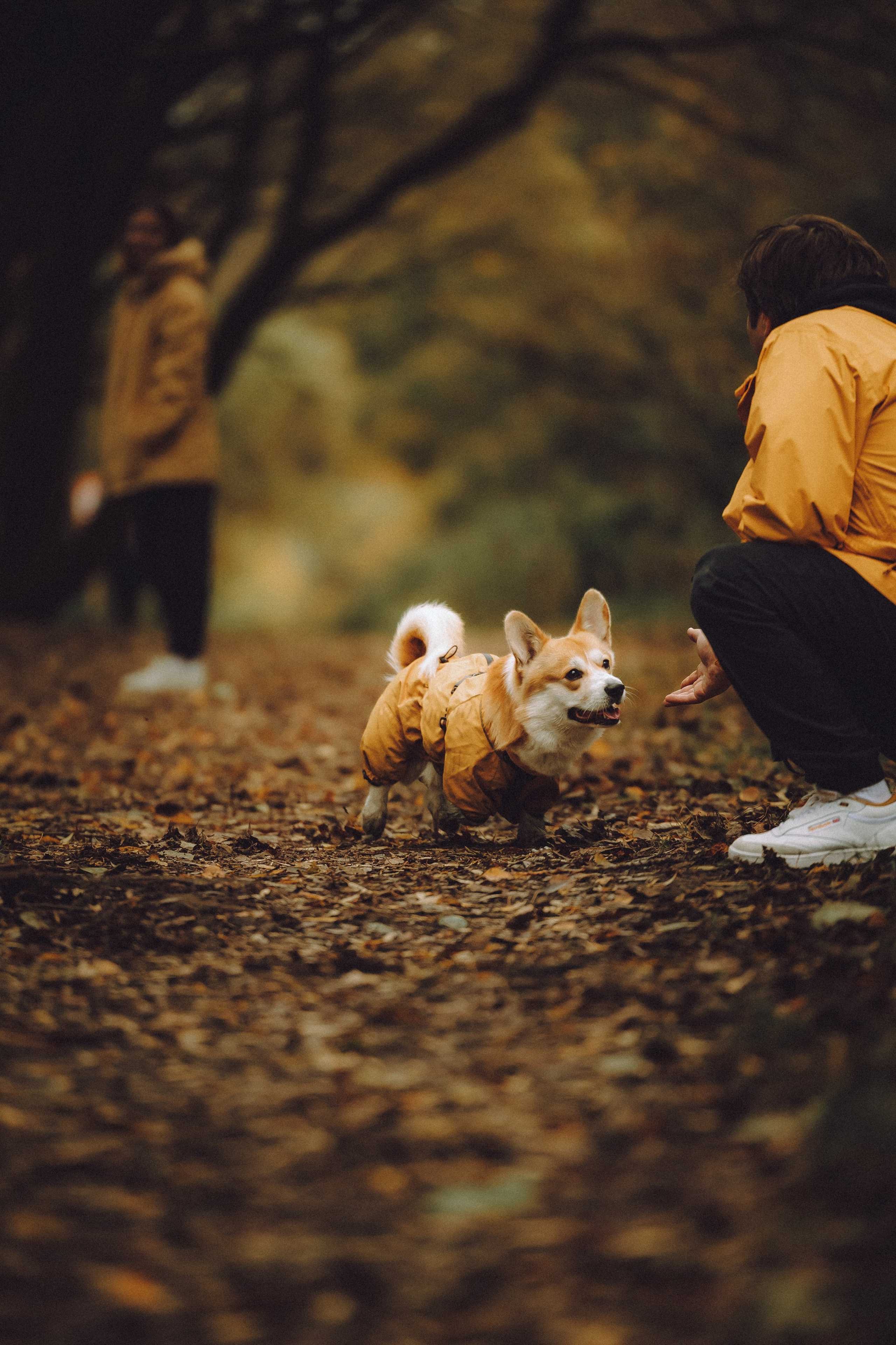 Вирджик и его семья