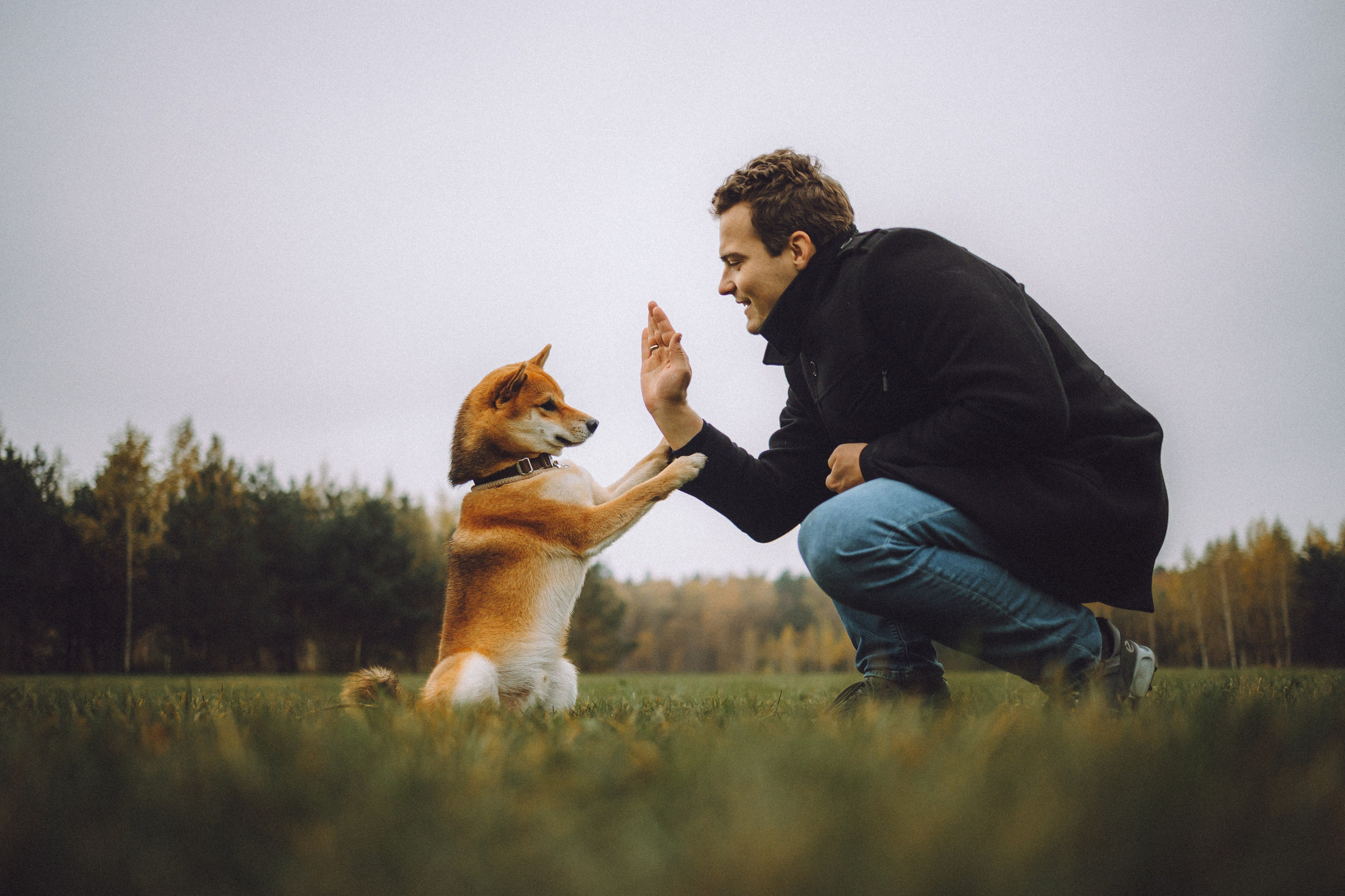 Настя, Юра и Скай