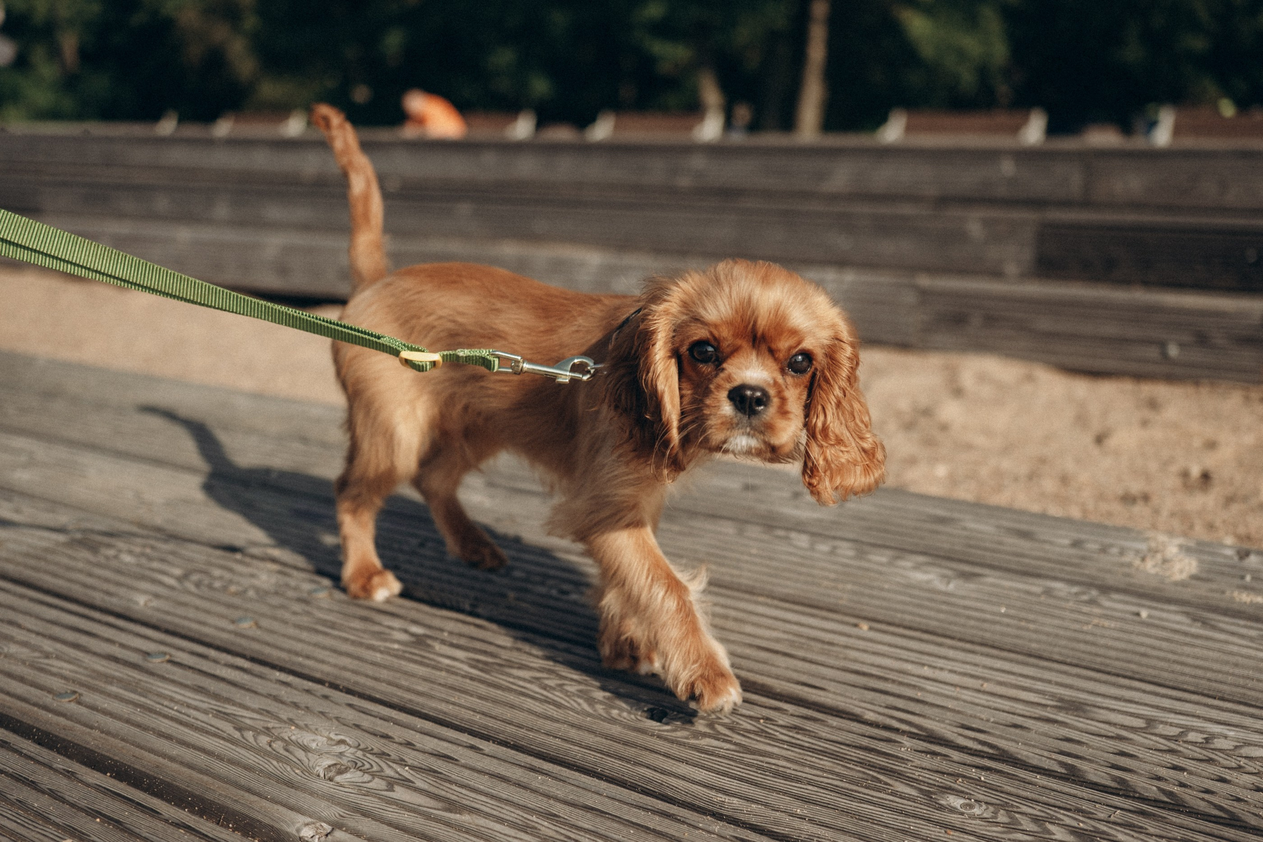 Вероника, Лиза и Ярик. Семейный и детский фотограф в Санкт-Петербурге