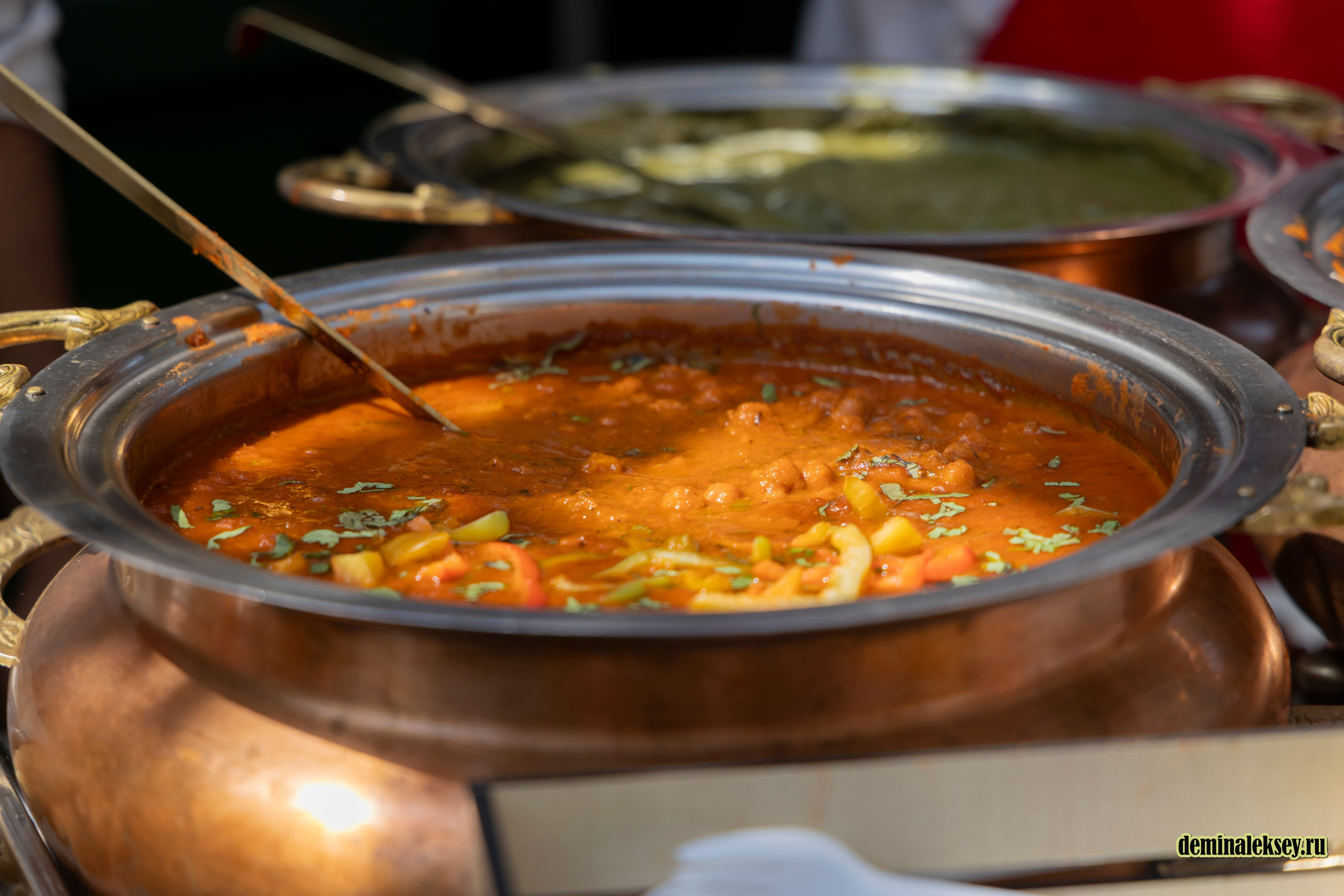 Фестиваль Дни индии на Манежной площади. Репортажный, семейный и студийный фотограф в Москве Демин Алексей