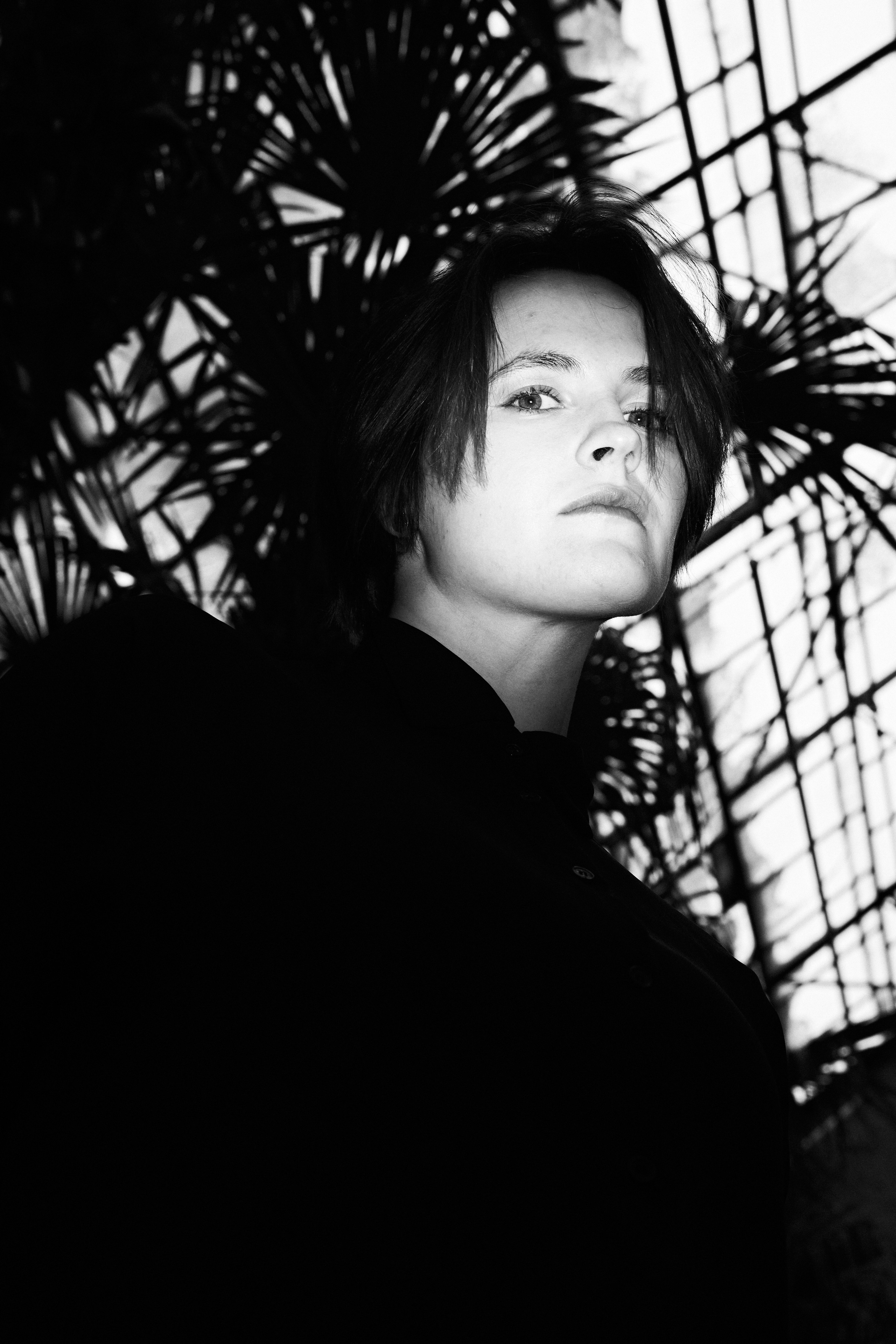 Wild Les. Александр Сазонов Красноярск