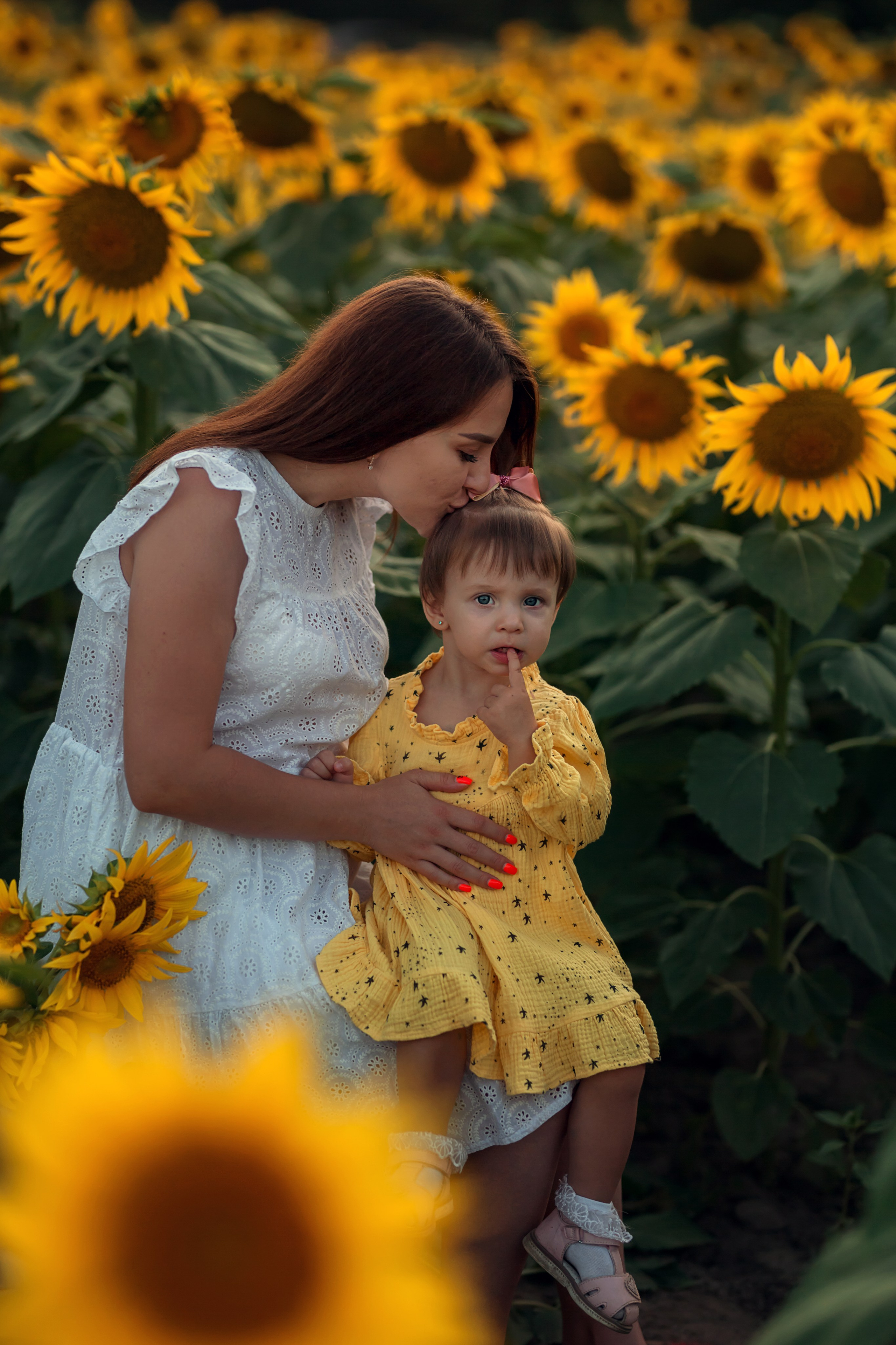 Подсолнухи. Семейный и детский фотограф Екатерина Савёлова