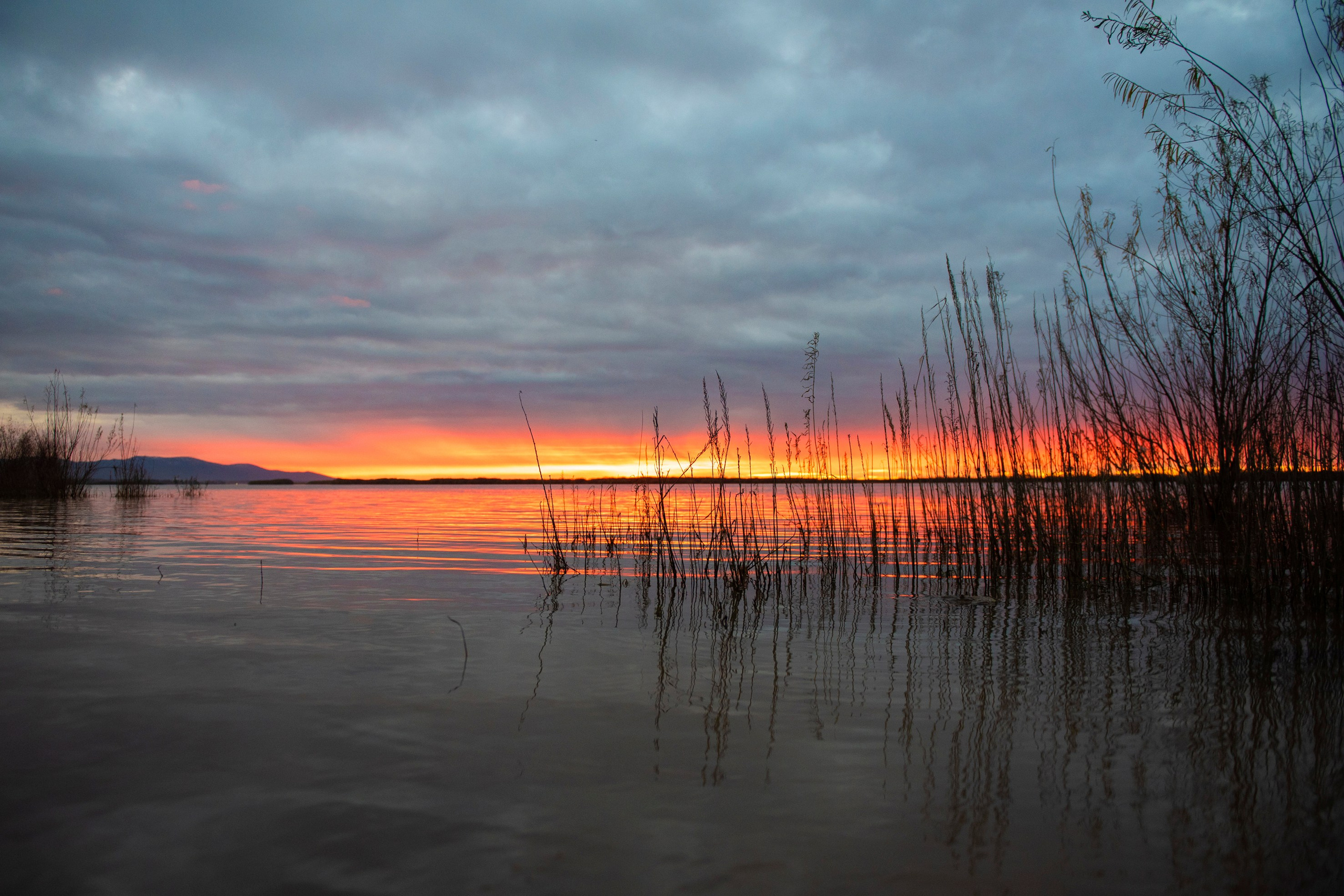 Природа Хабаровского края. Команда фотографов Кристины Ивановой
