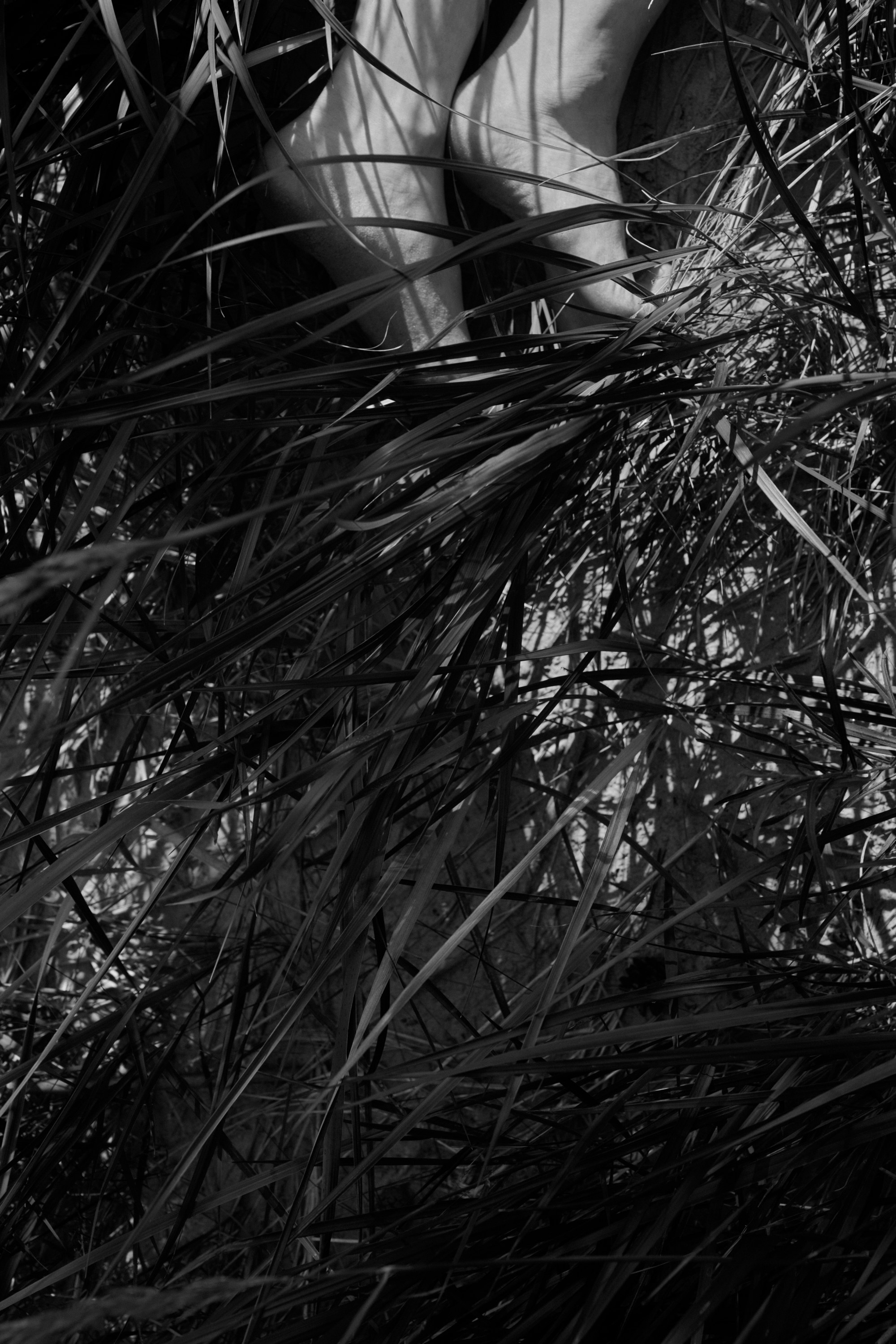 MARYANA. Shyjungle's Portfolio