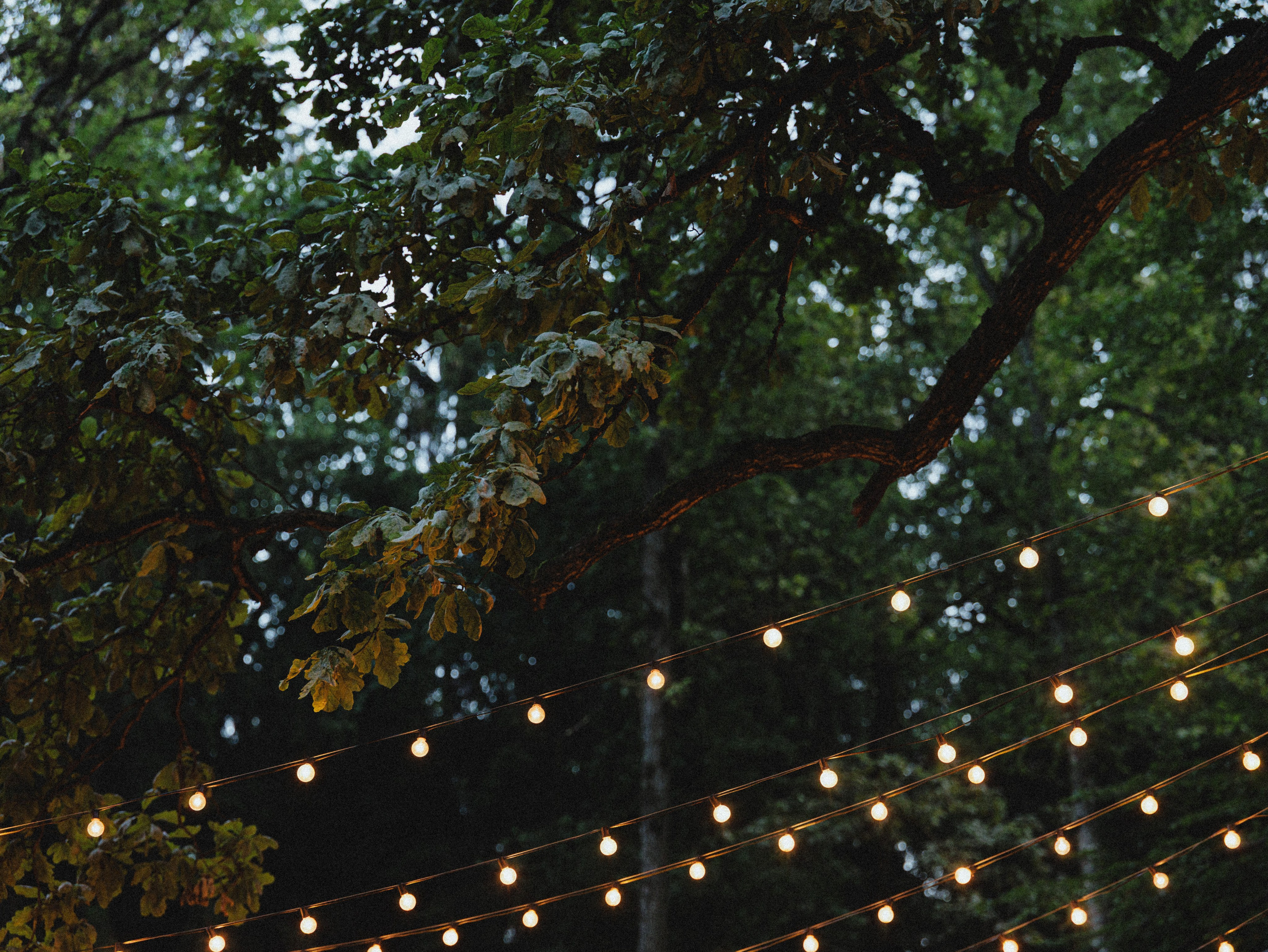 То, что дорого сердцу. Свадебный фотограф Москва Ирина Писарева