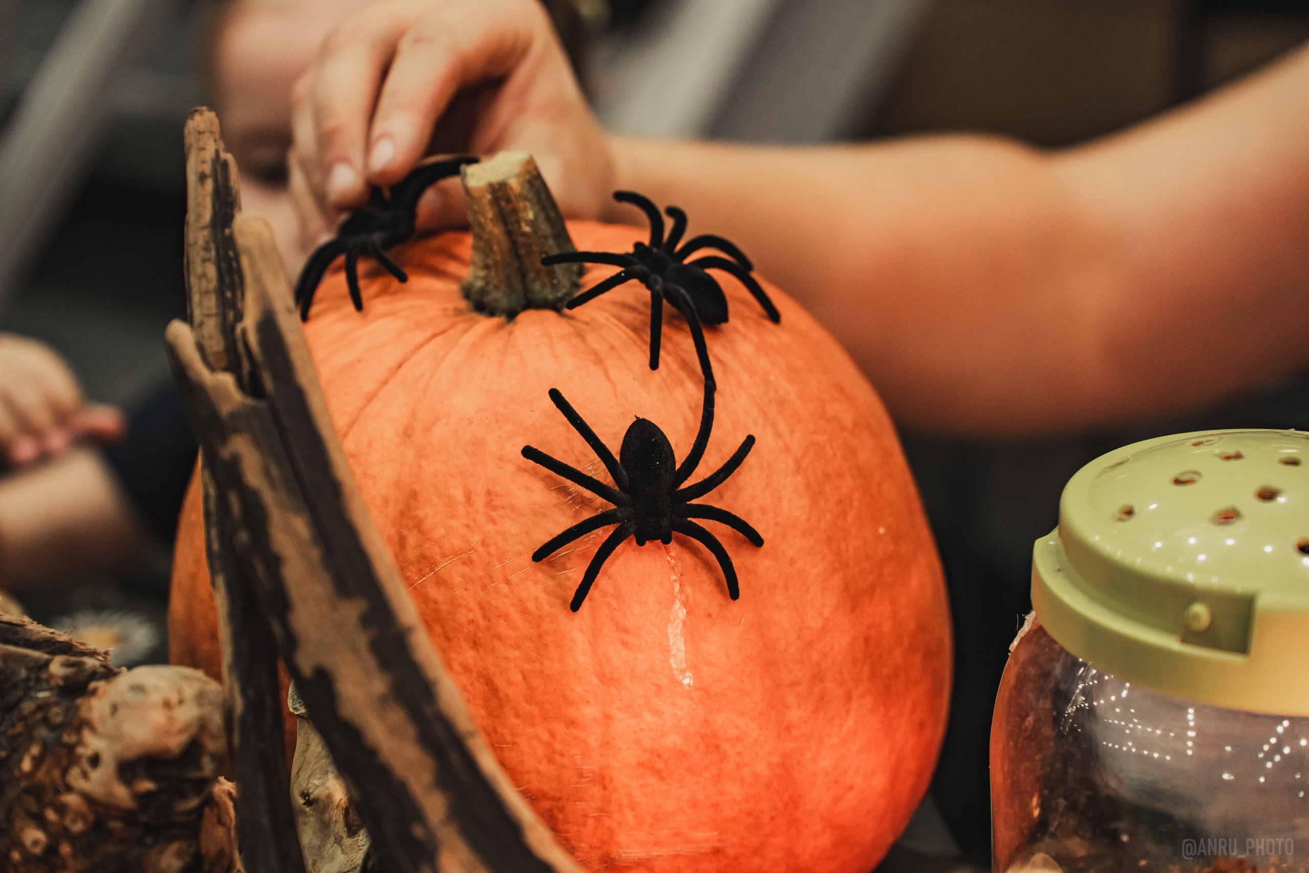 Fox Family fest. Репортажный фотограф Анастасия Рубцова