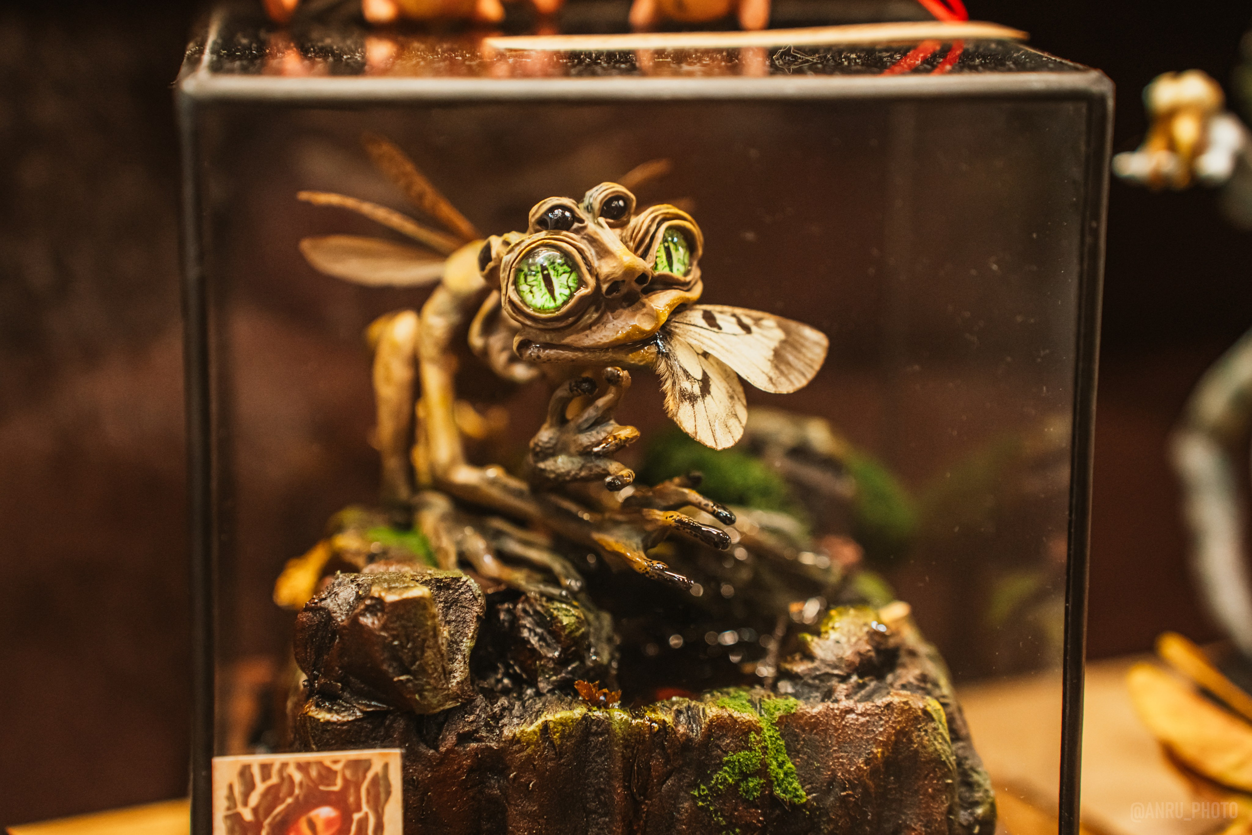 Рептилиум. Репортажный фотограф Анастасия Рубцова