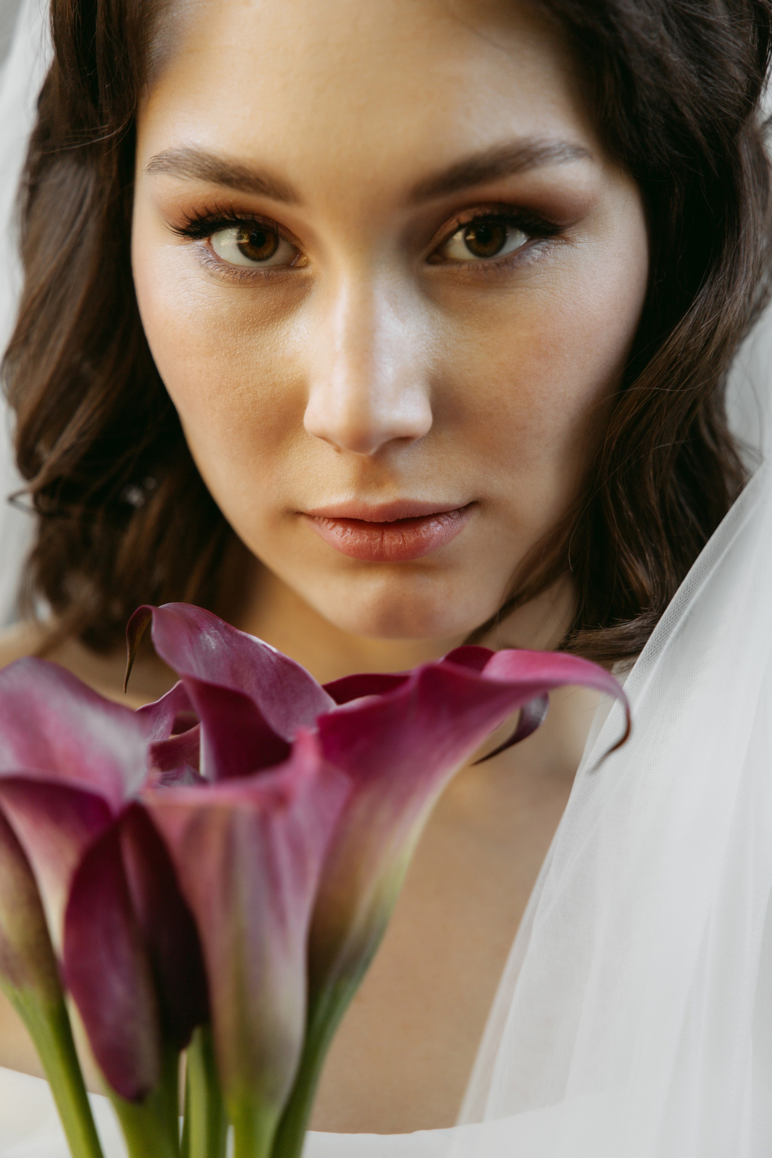 Альберт & Анна