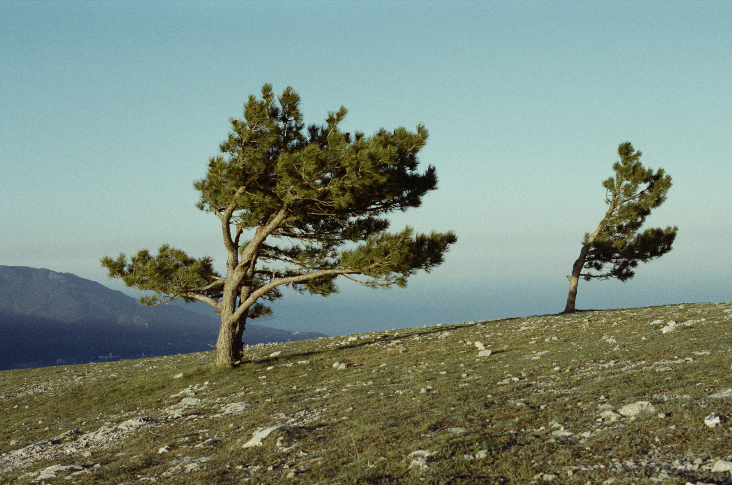 Some kind of madness // ukraine, crimea IV. EVER EXPOSED