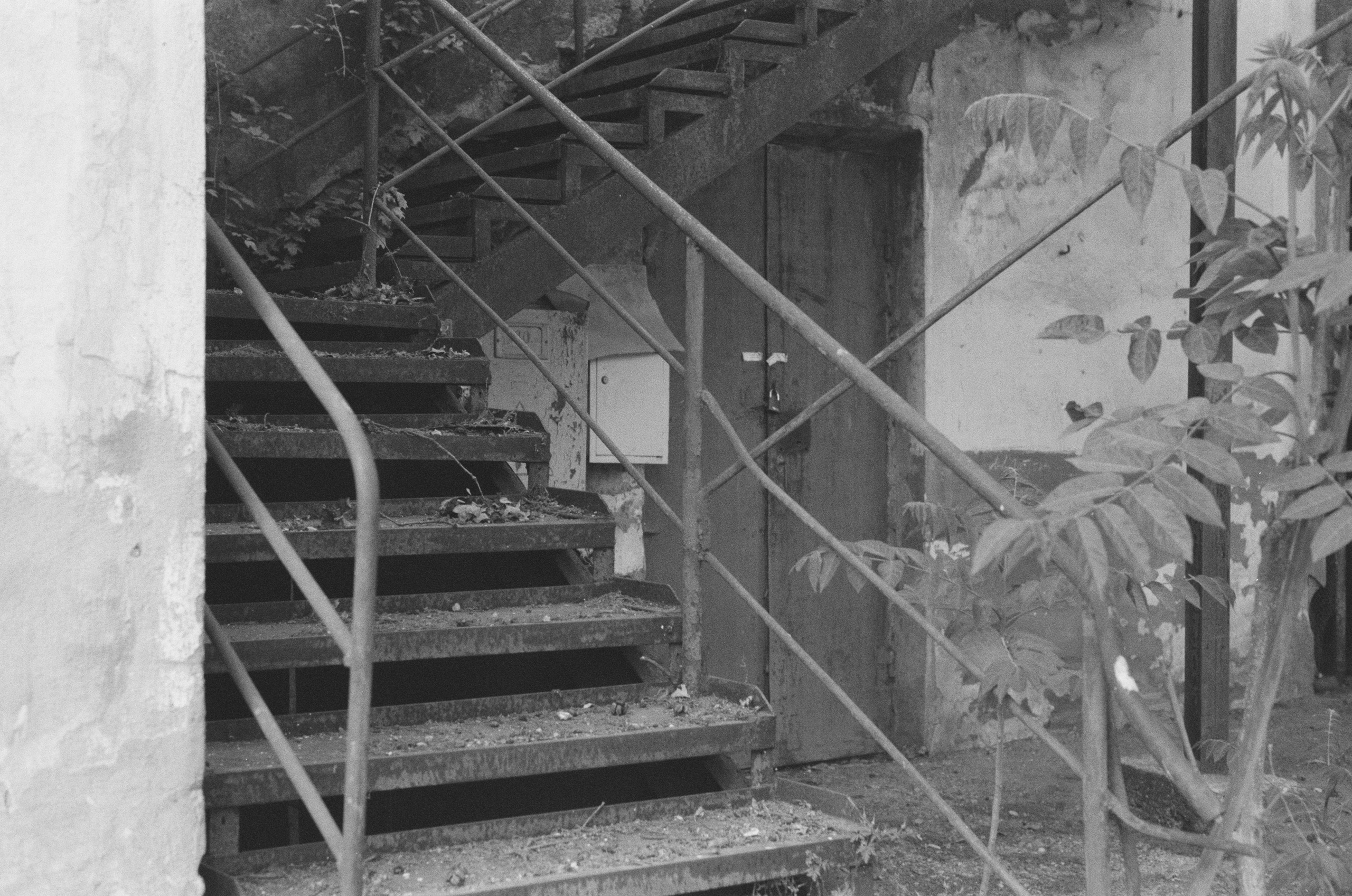 Plastinki // ukraine, crimea III. EVER EXPOSED