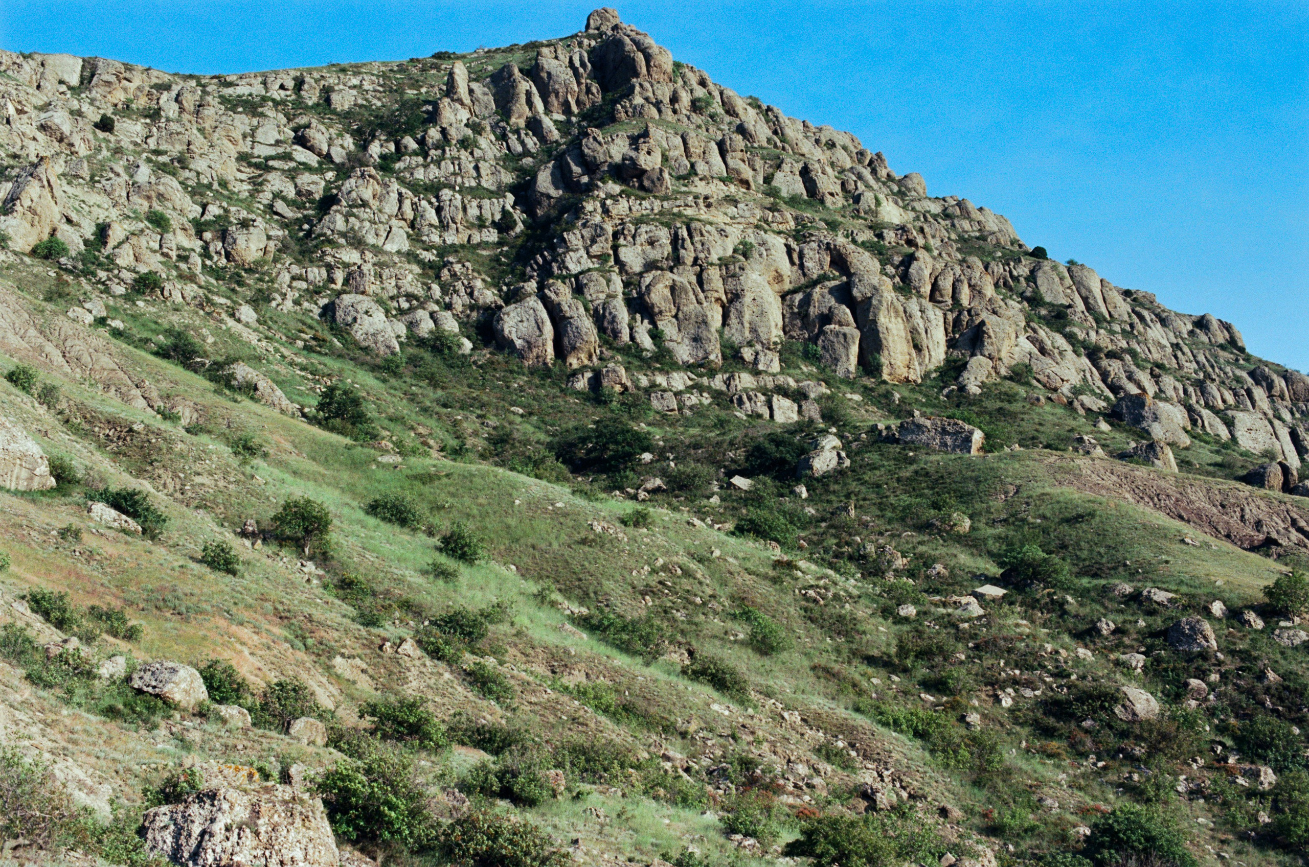 Kool-aid // ukraine, crimea IV. EVER EXPOSED