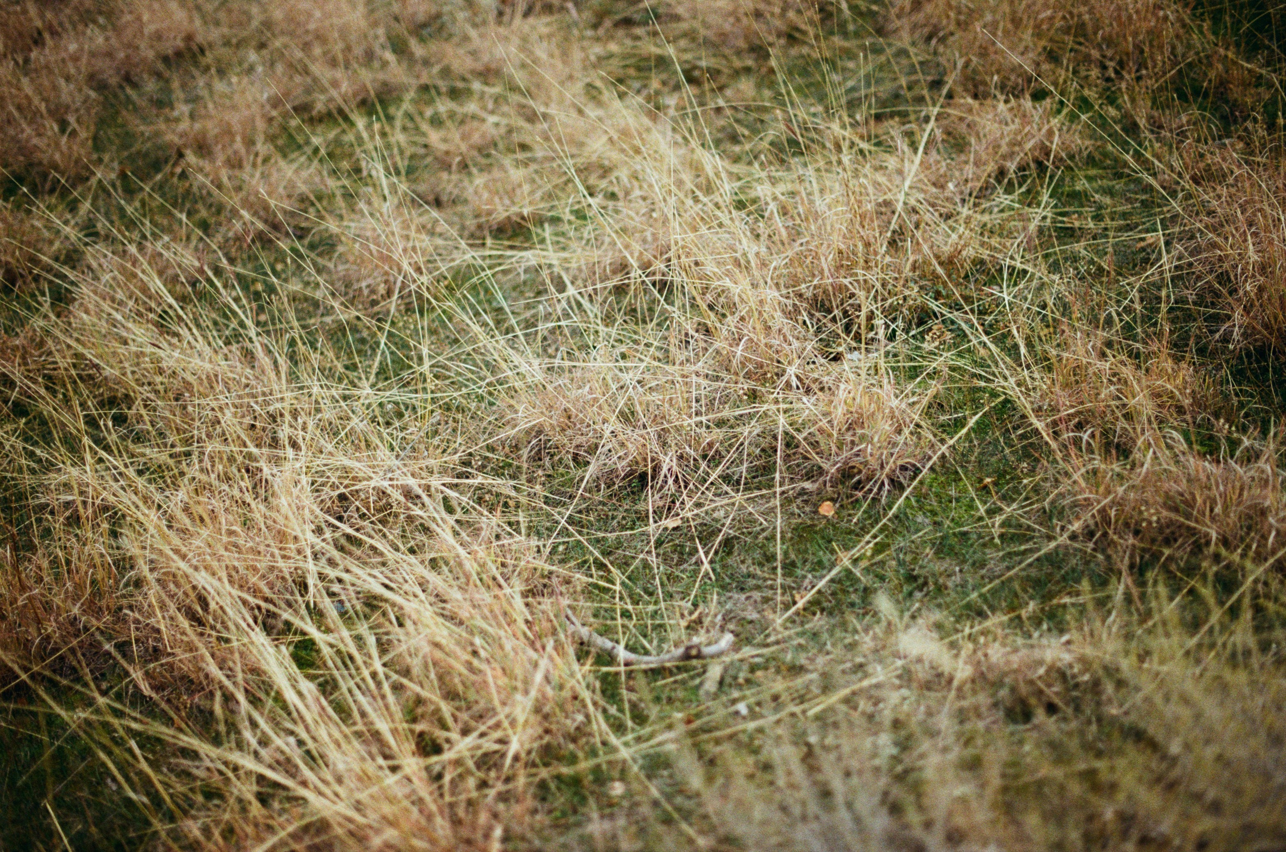 Wherever you will go // ukraine, crimea V. EVER EXPOSED