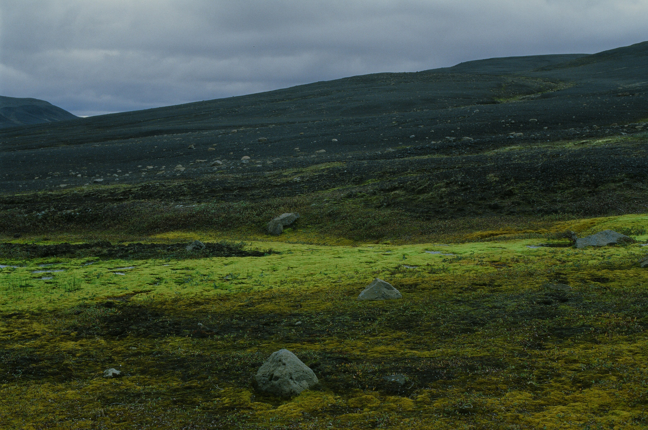 Bloodline // iceland, f907. EVER EXPOSED