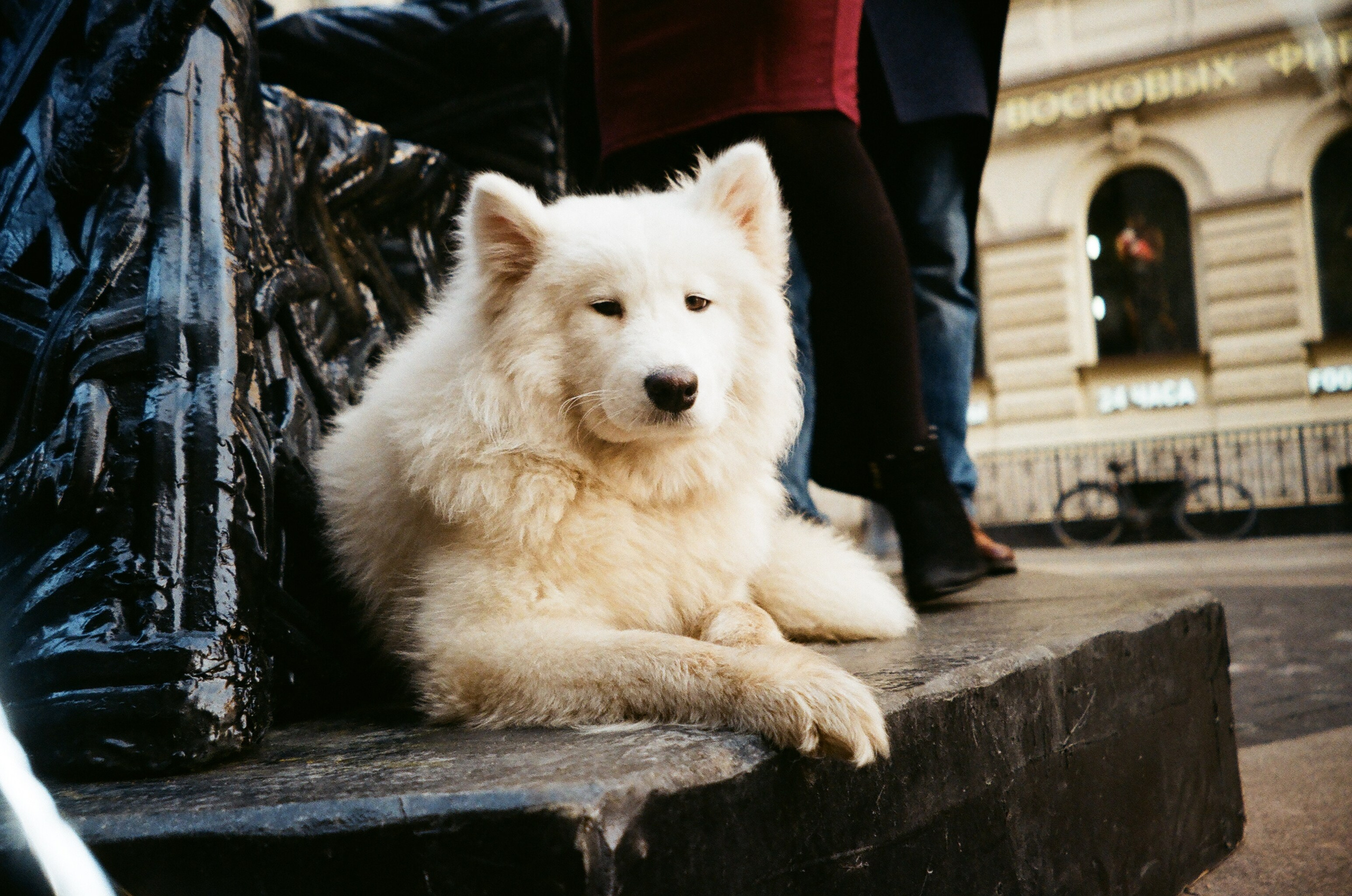 Пленка. Элька Мурзина