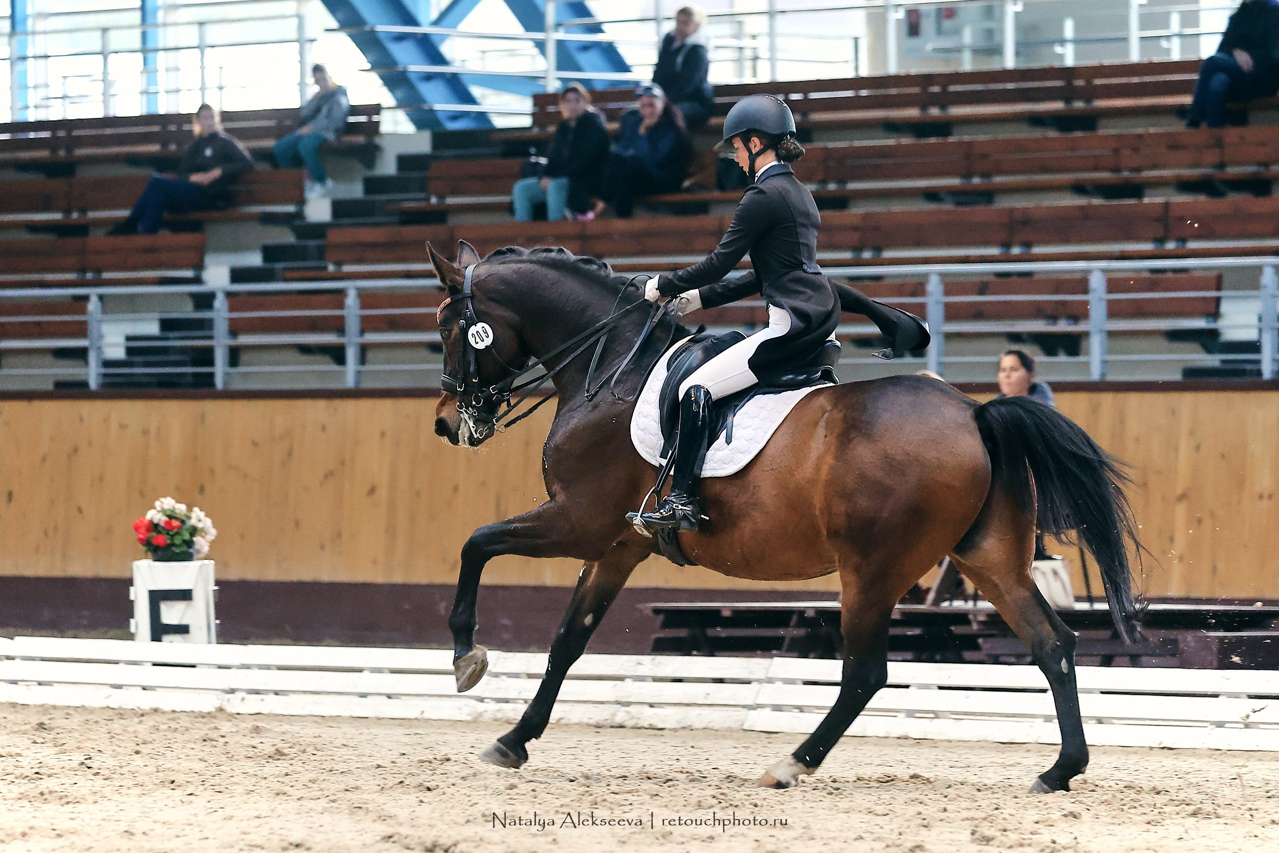 Звезды Евразии по выездке, Минск | 10'2023. Репортажный фотограф и ретушер в Москве Наталья Алексеева