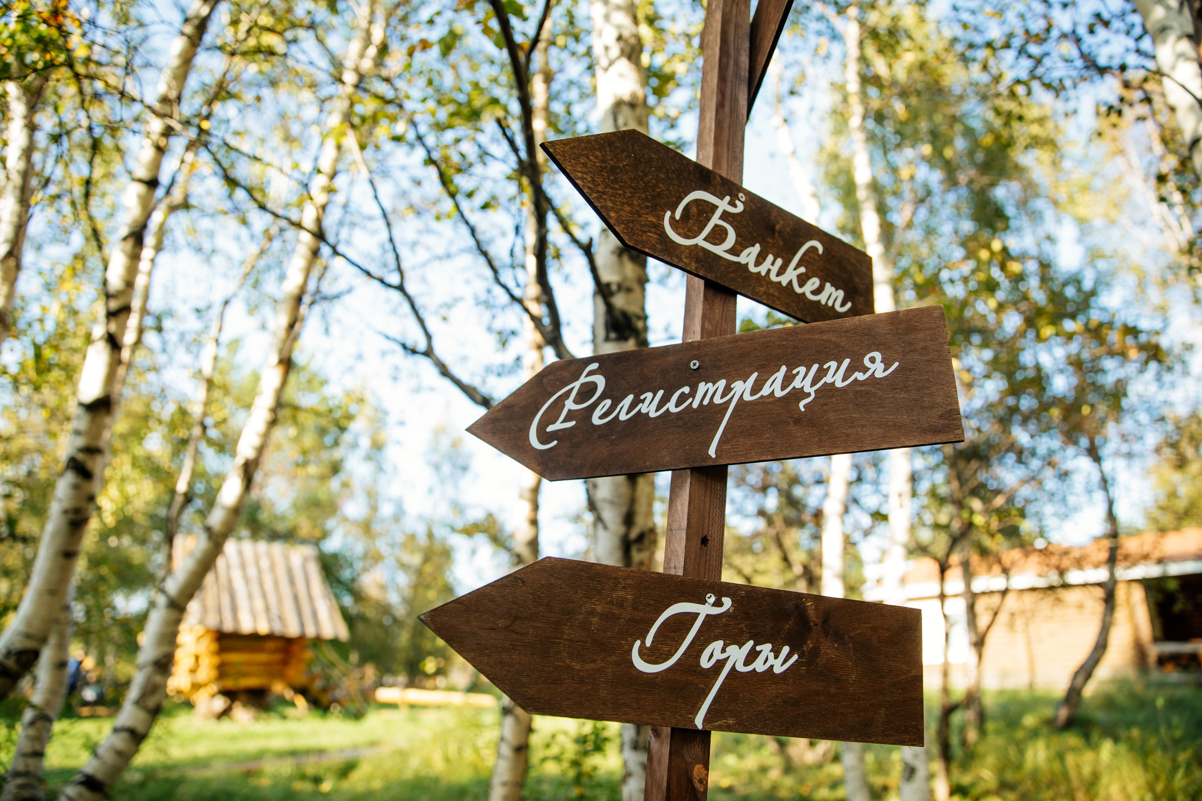 Дима и Маша. Свадебный фотограф в Иркутске Сапаров Александр